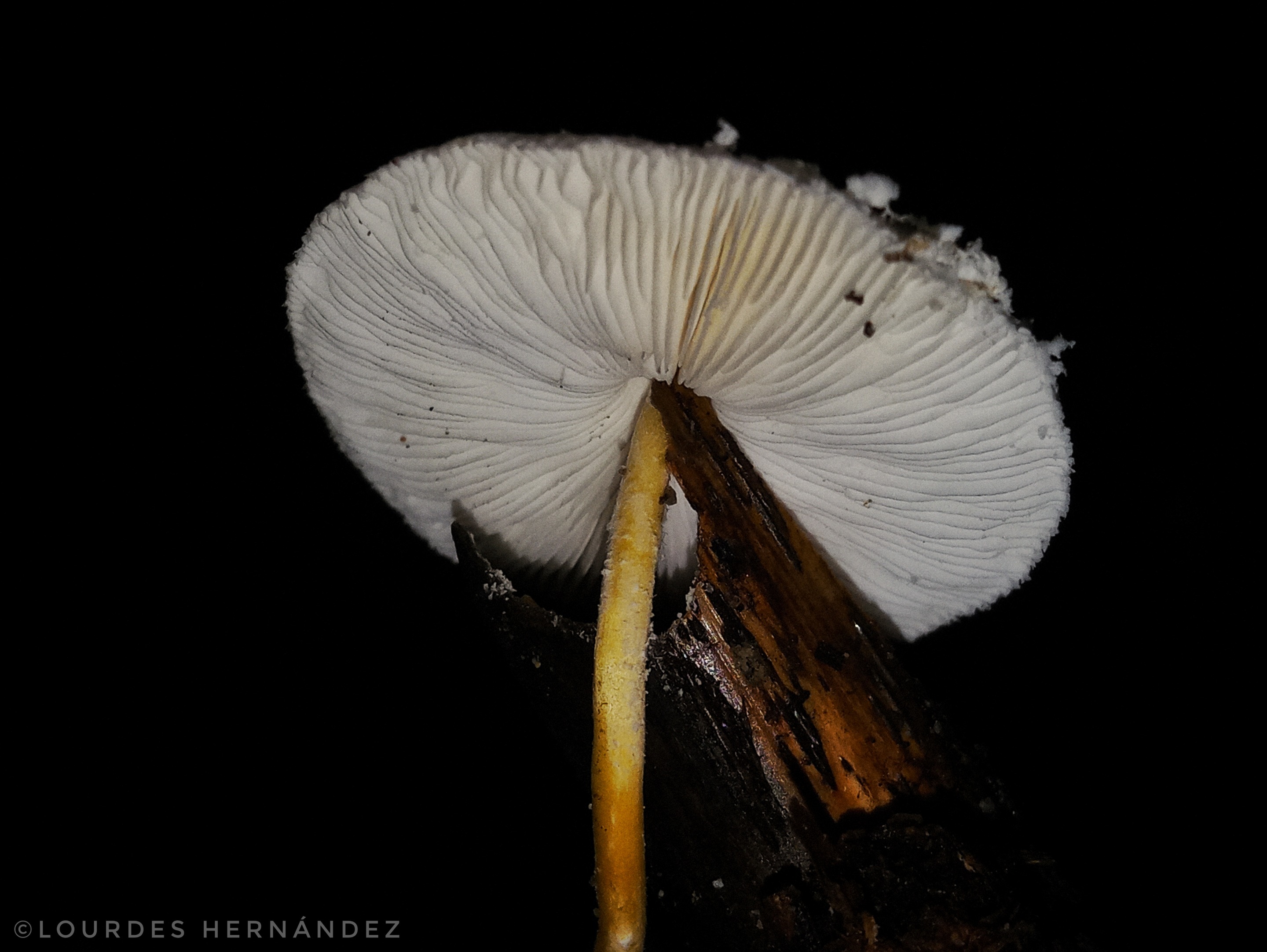 20200918_02251101.jpeg