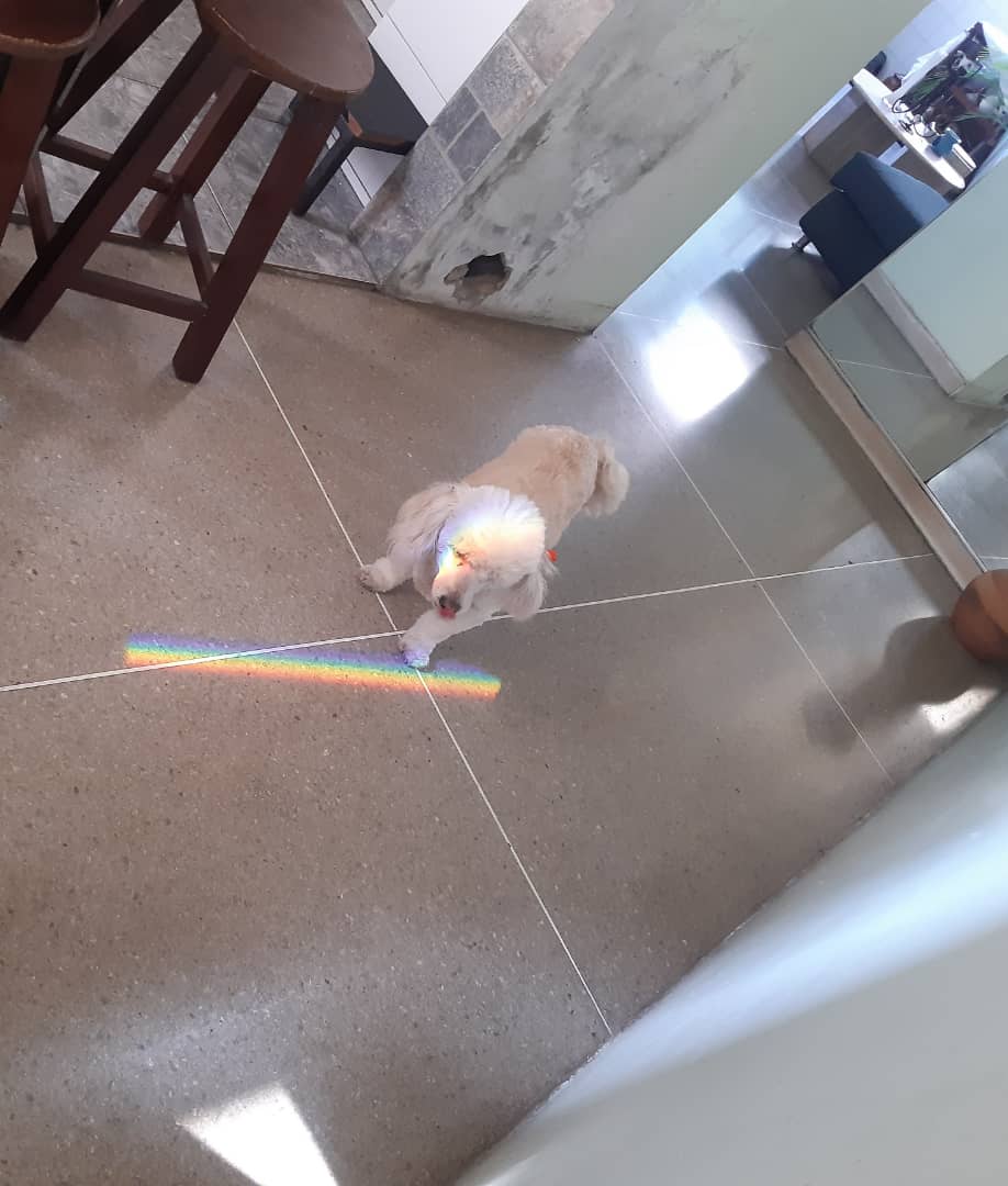 Imagen de arco iris 1.jpg