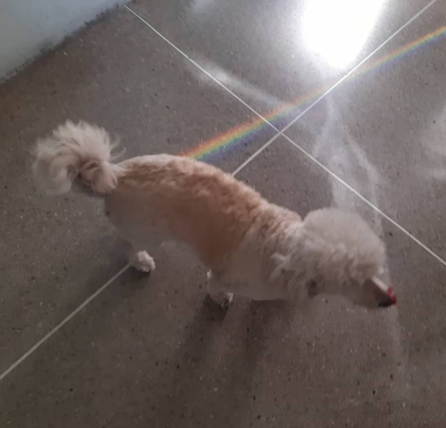 IMAGEN DEL ARCO IRIS QUE CAYO DEL CIELO 10.jpg