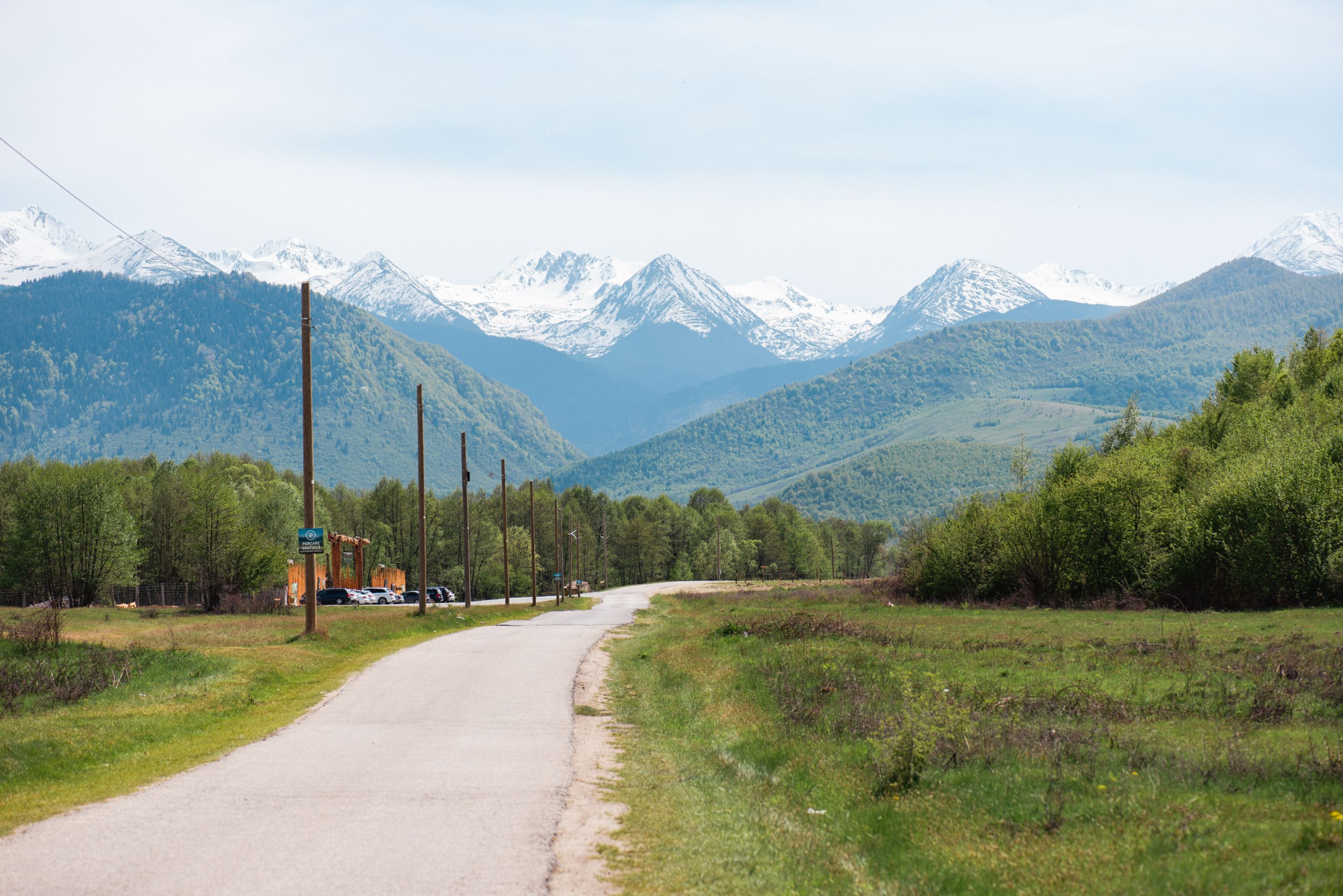 D7F_6395.jpg