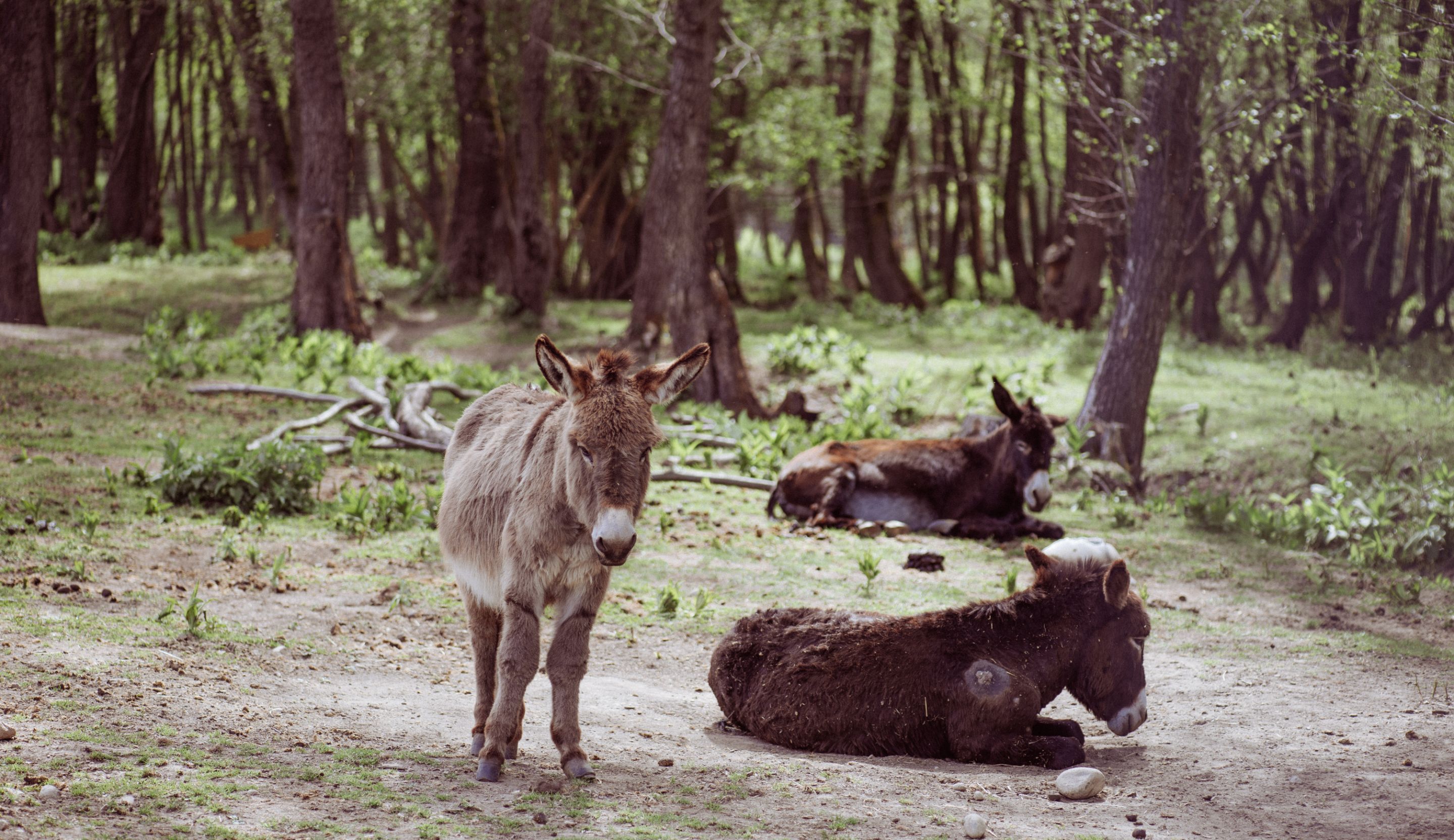 D7F_6473.jpg