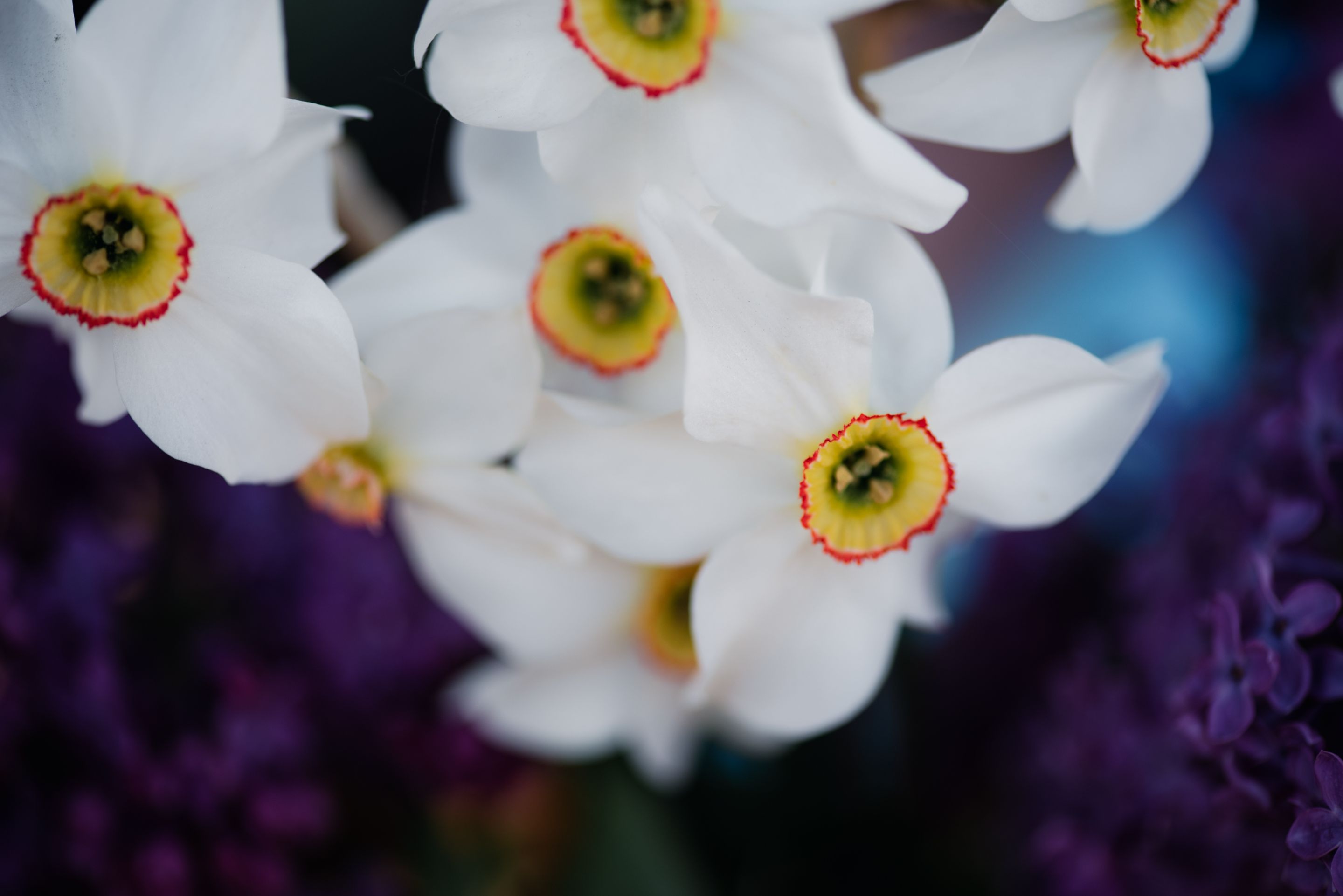 D7F_6372.jpg