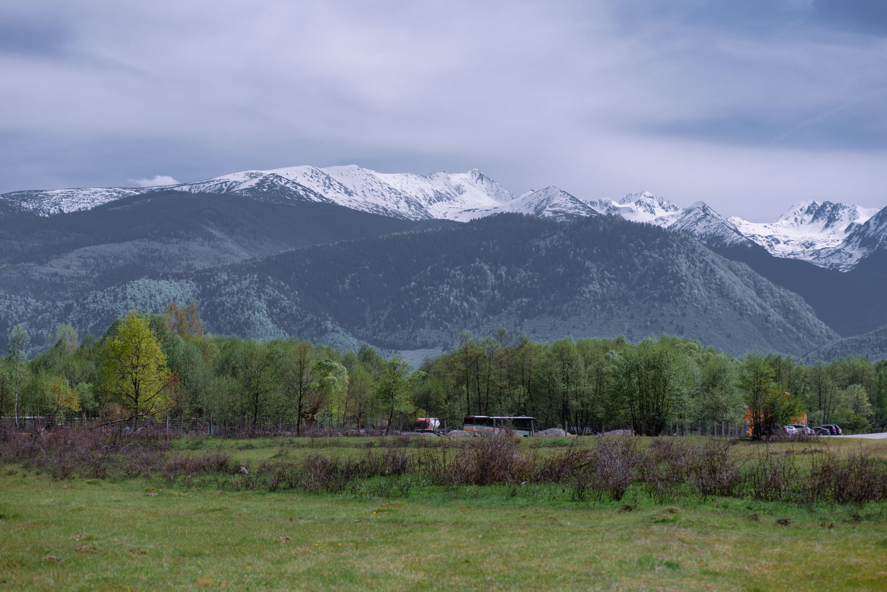 D7F_6399.jpg