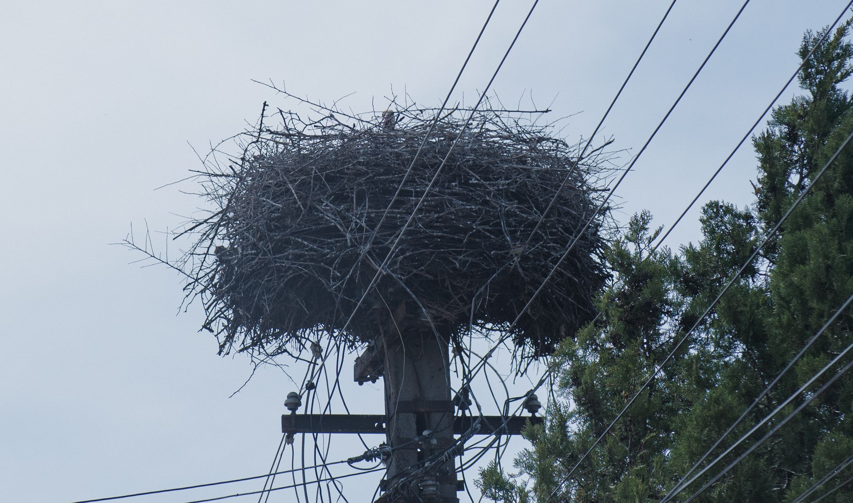 D7F_6391.jpg