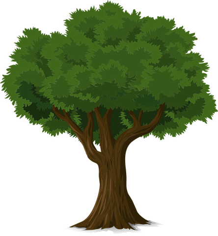 tree-576847__480.webp