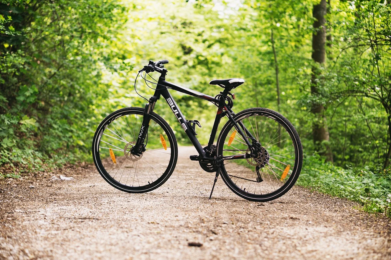 bicycle-1834265_1280.webp