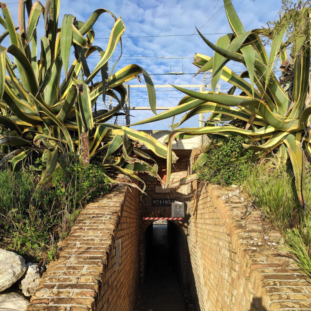 Tunnel 1 (1).png