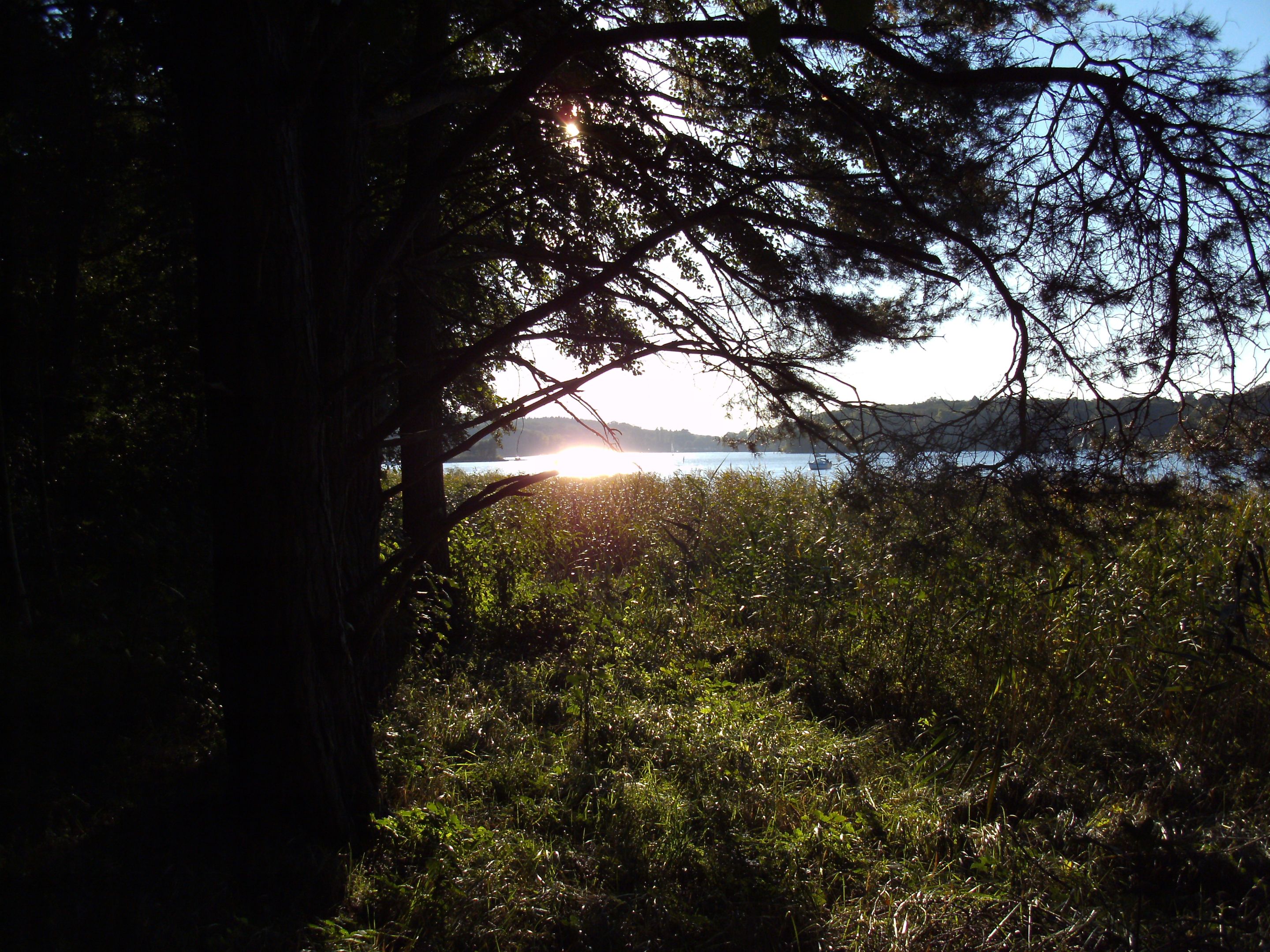 PICT0191.JPG