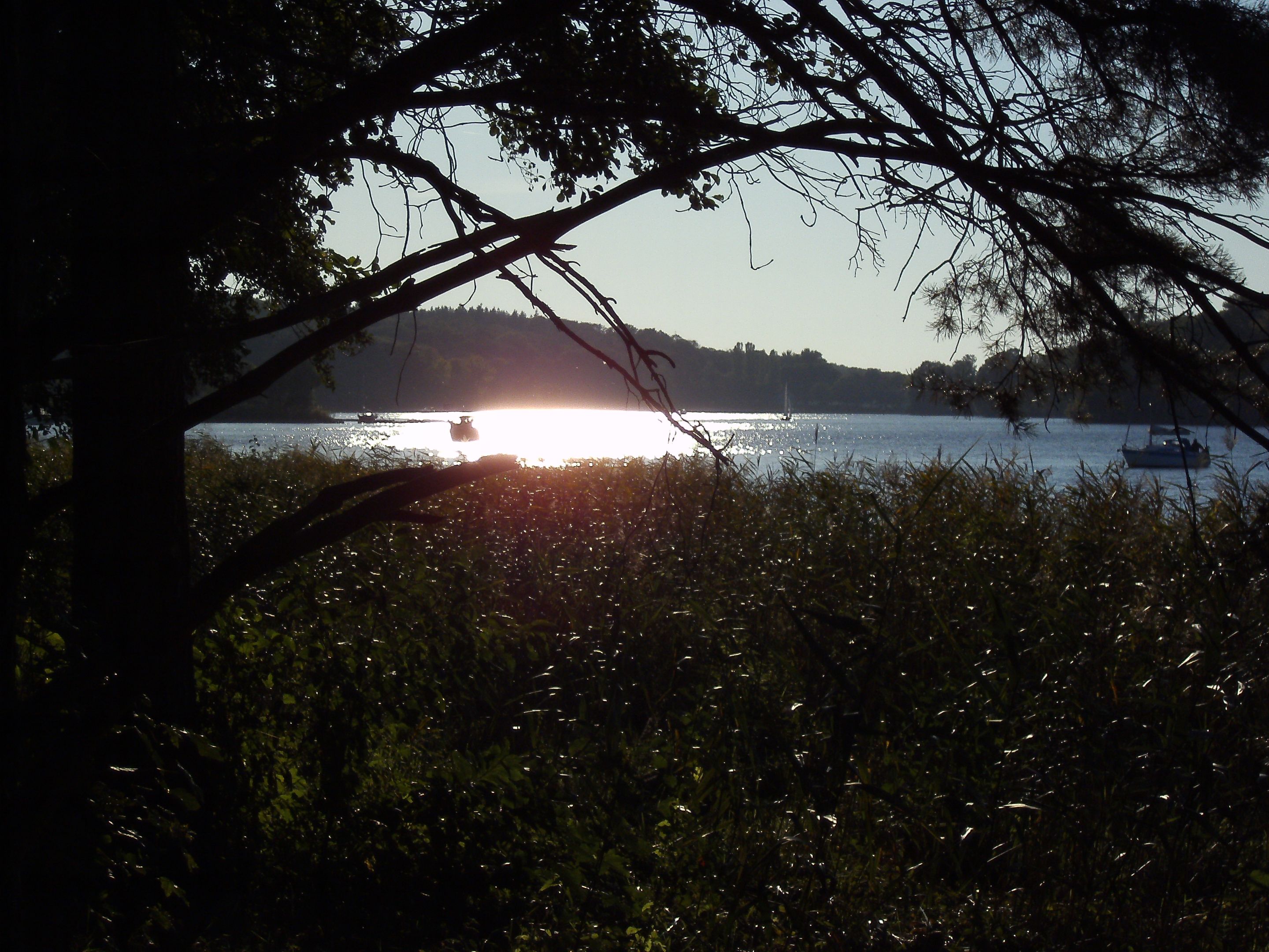 PICT0192.JPG