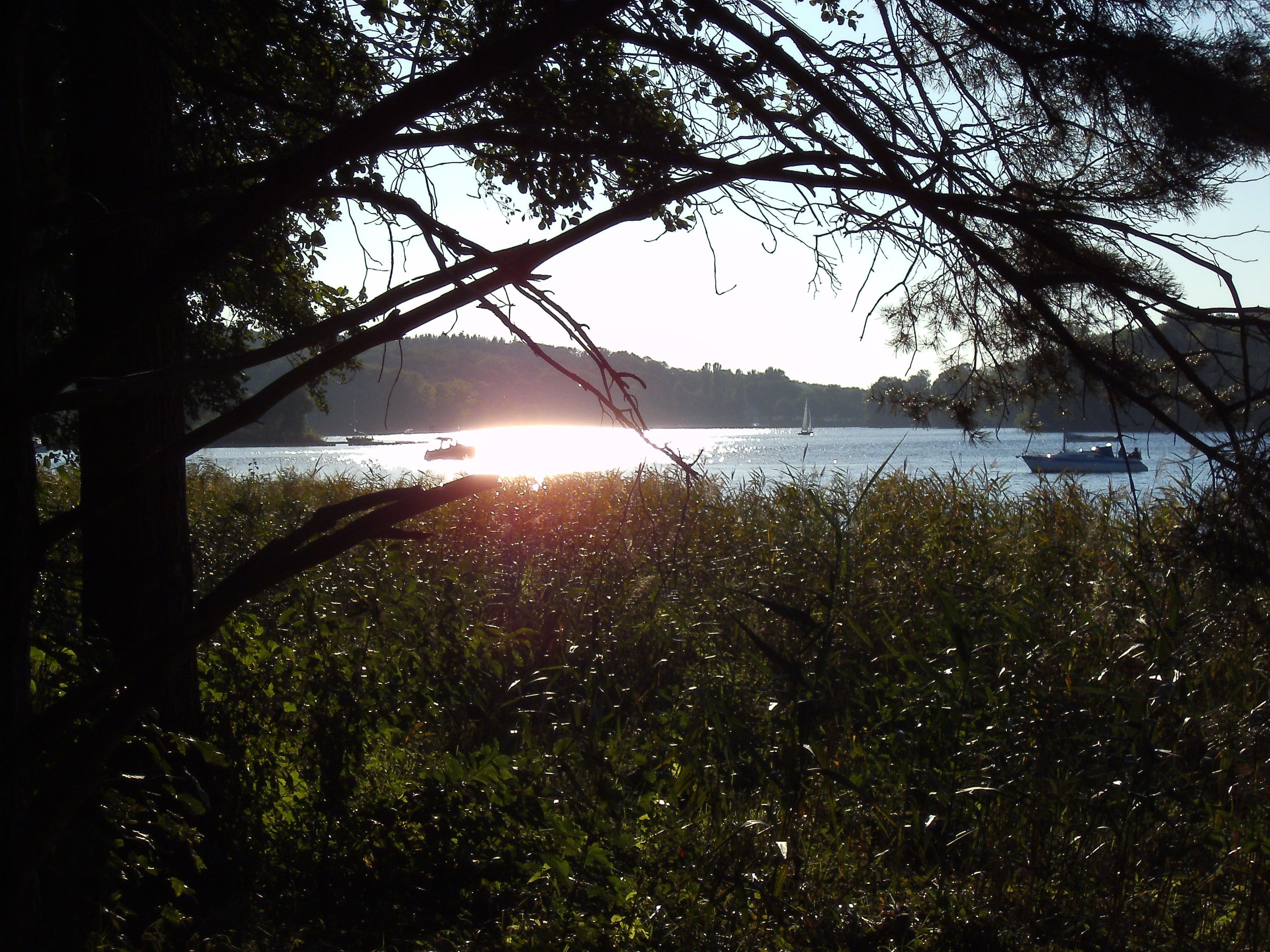 PICT0196.JPG