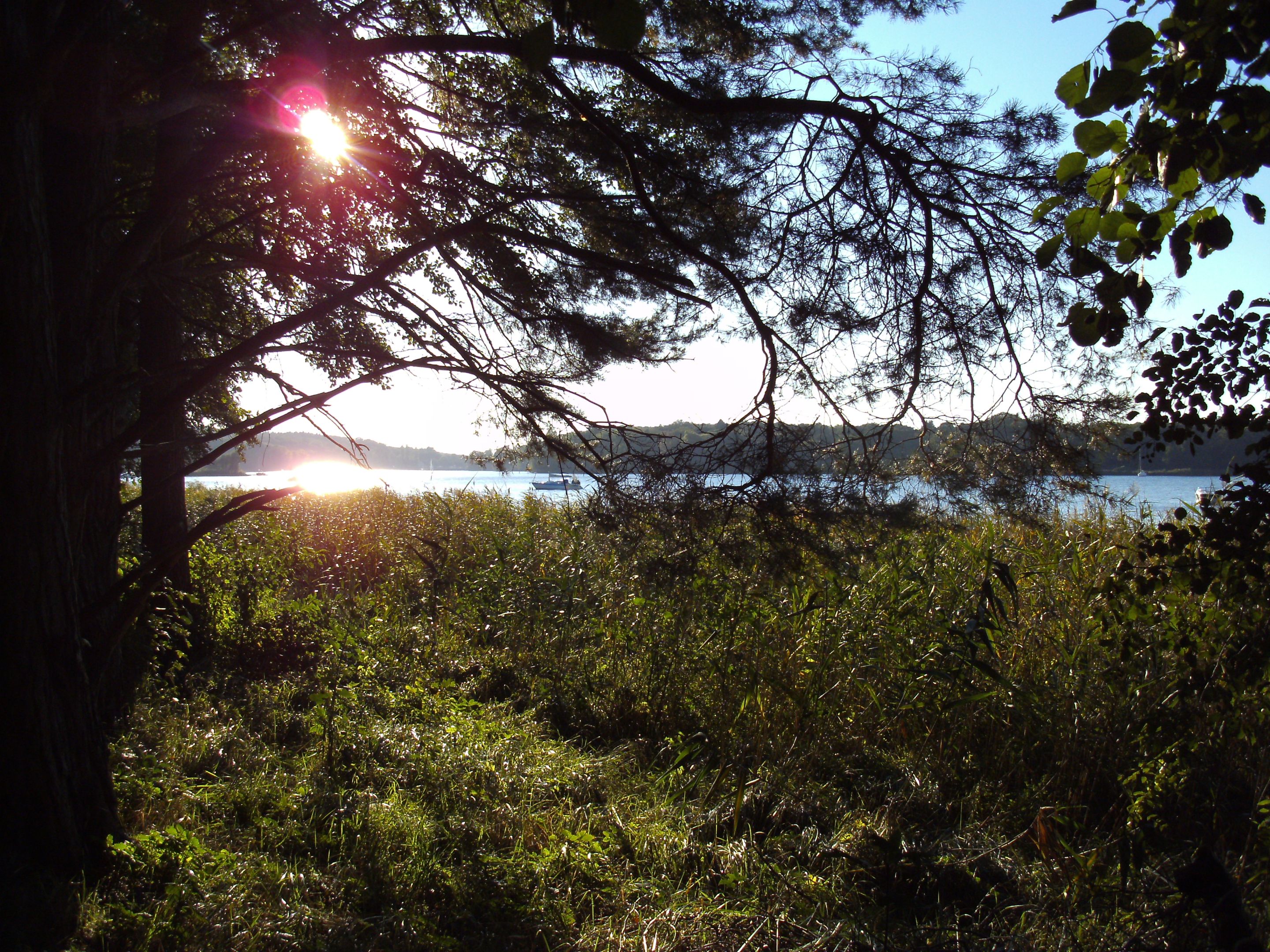 PICT0195.JPG