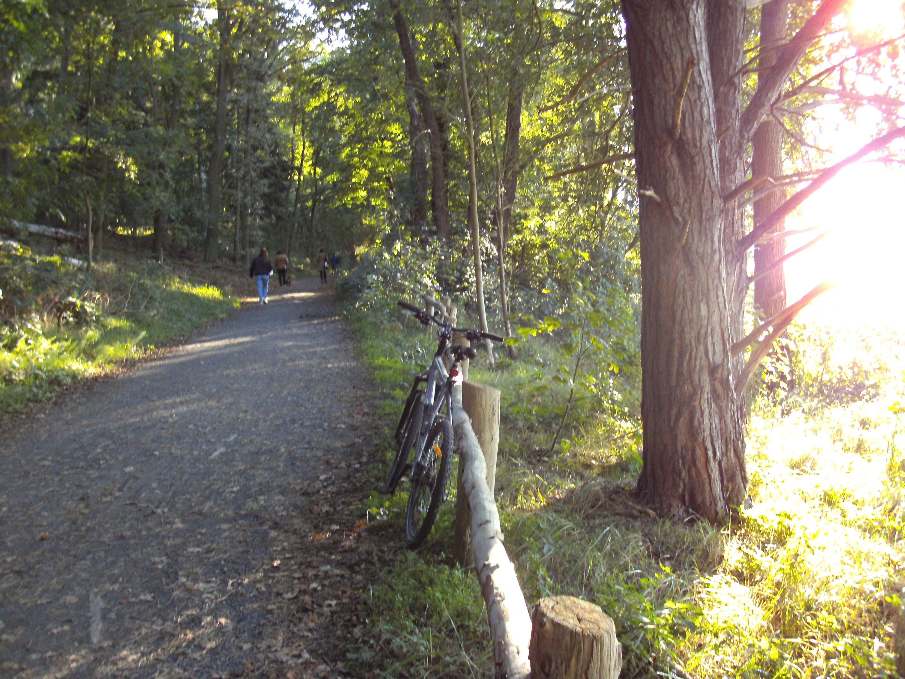 PICT0193.JPG