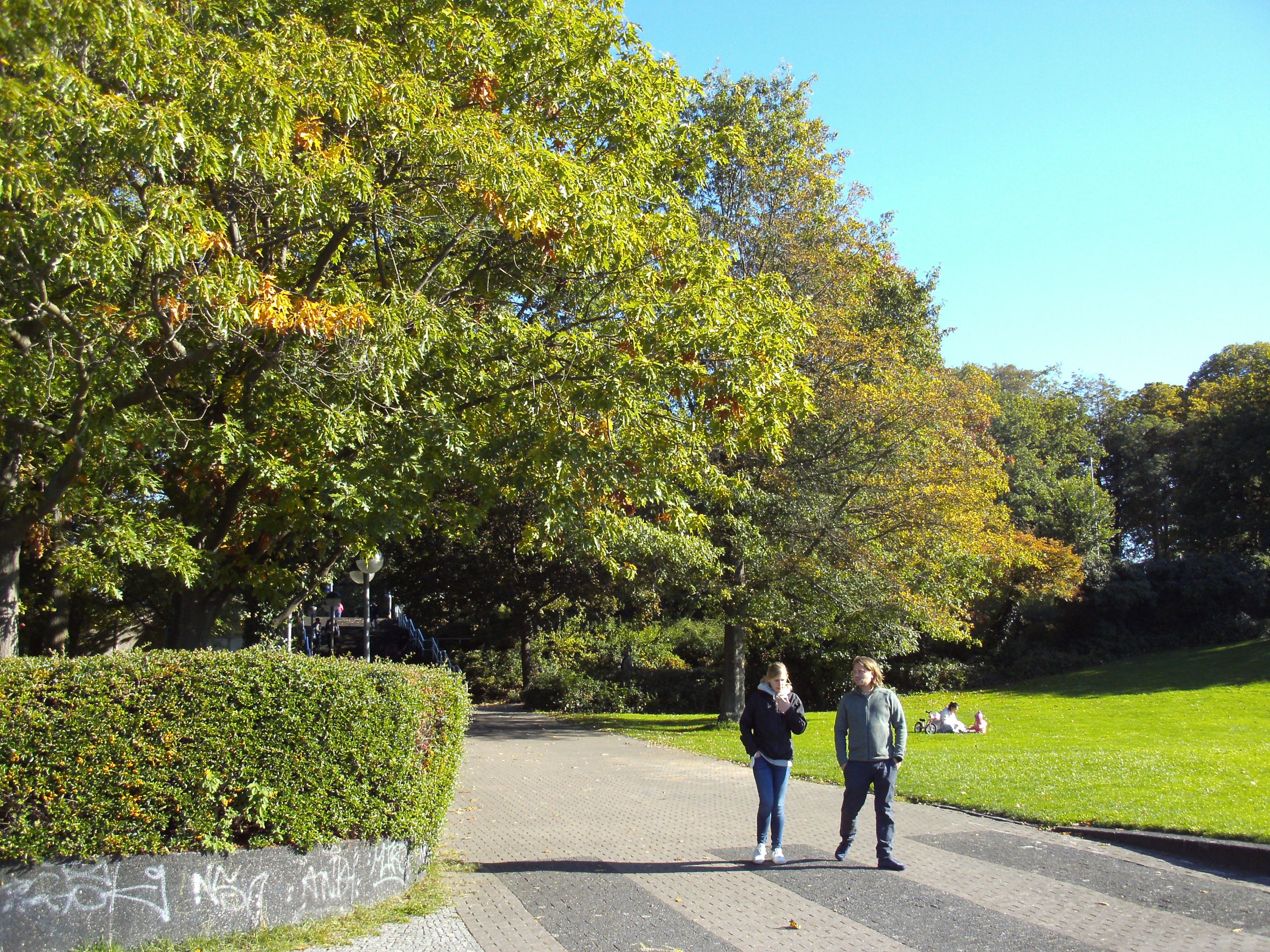 PICT0170.JPG
