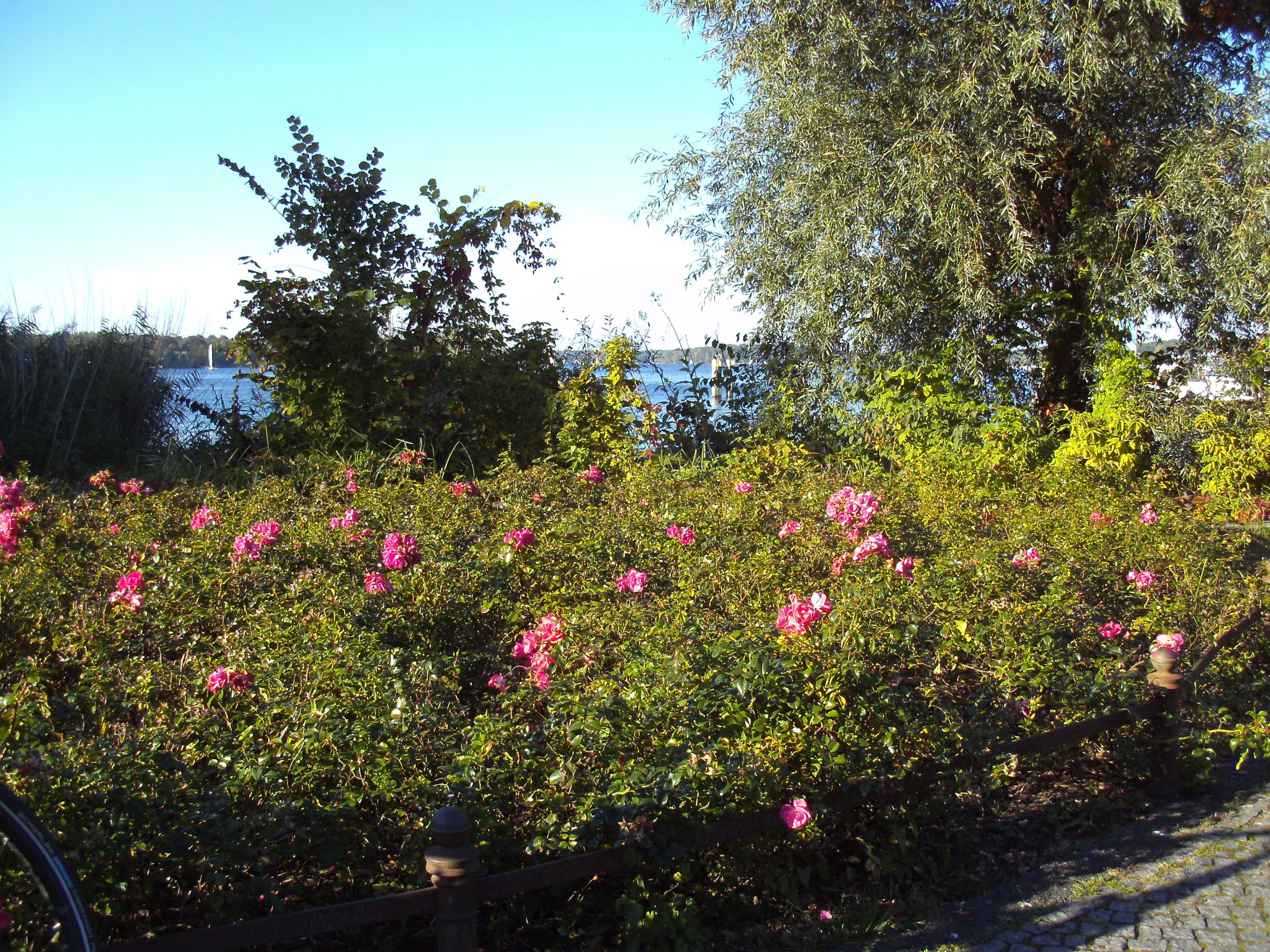 PICT0182.JPG