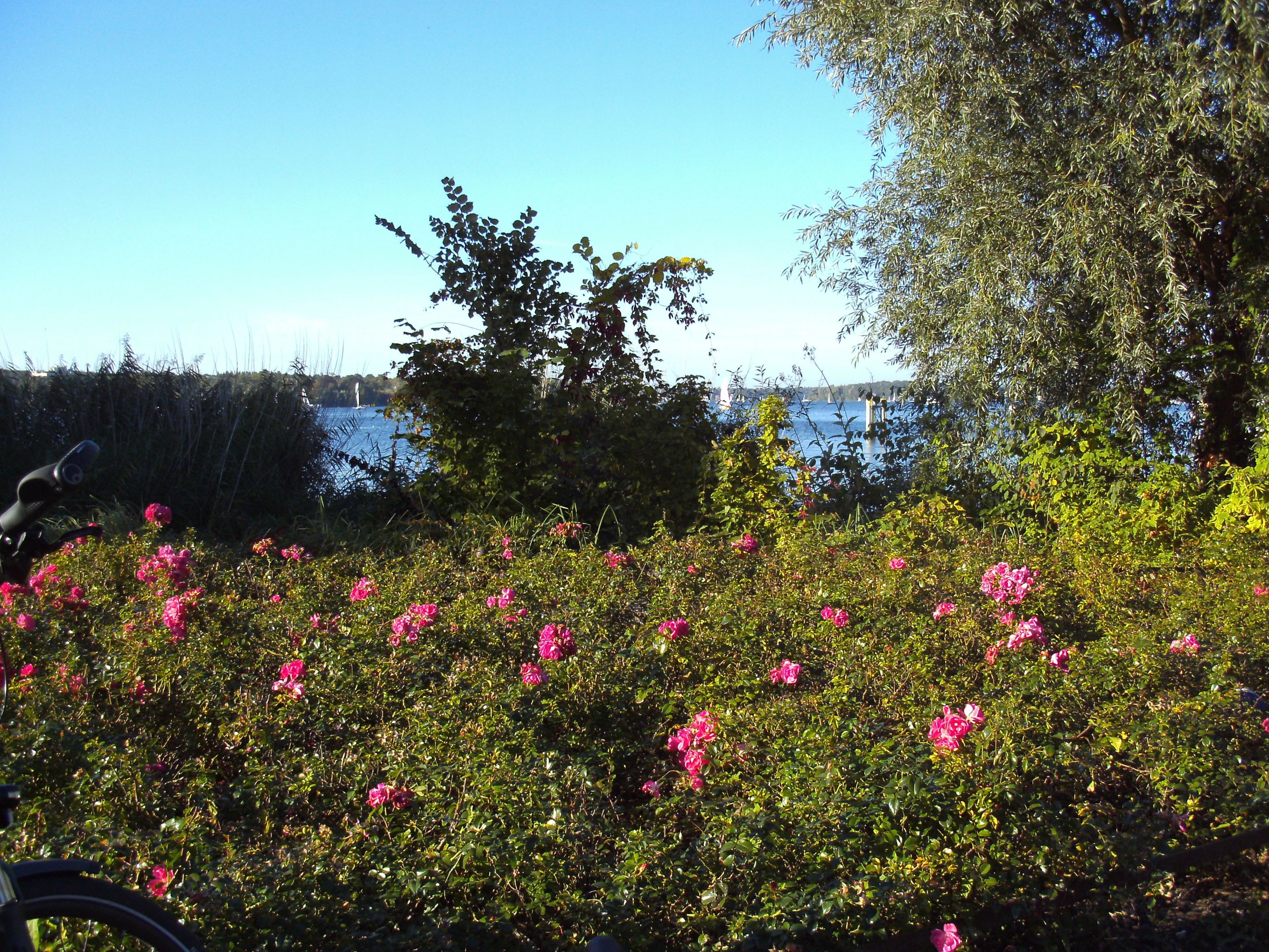 PICT0183.JPG