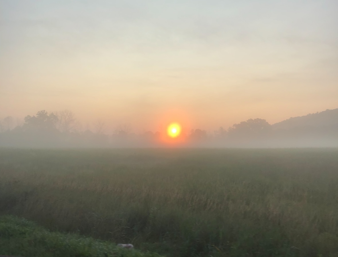 IMG_4063.jpeg