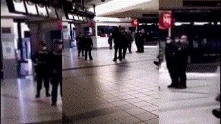 zzl.gif