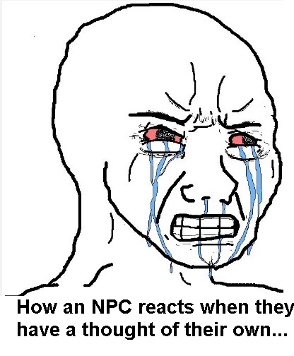 vgt Copy 2.jpg