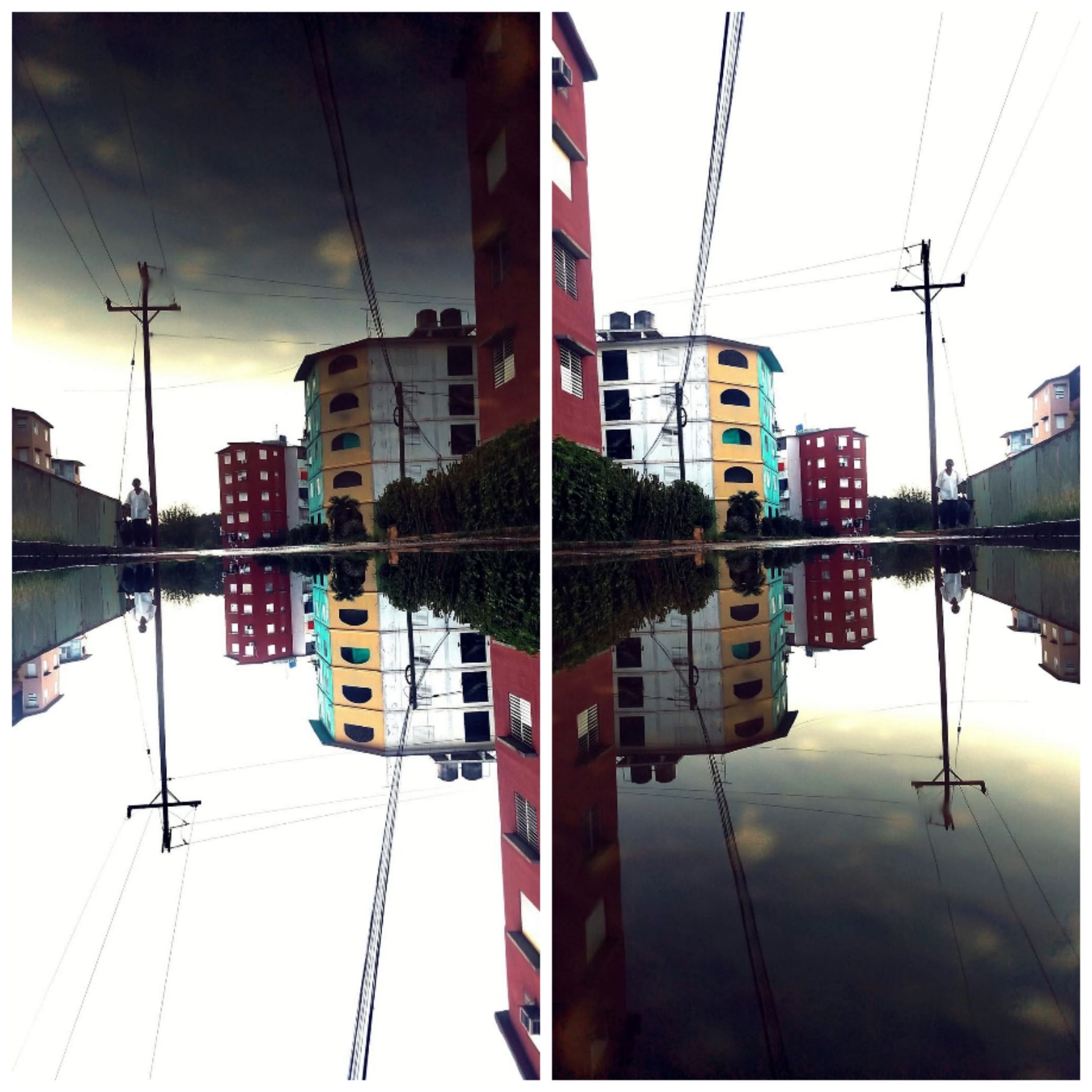 Collage_20251013_134203.jpg