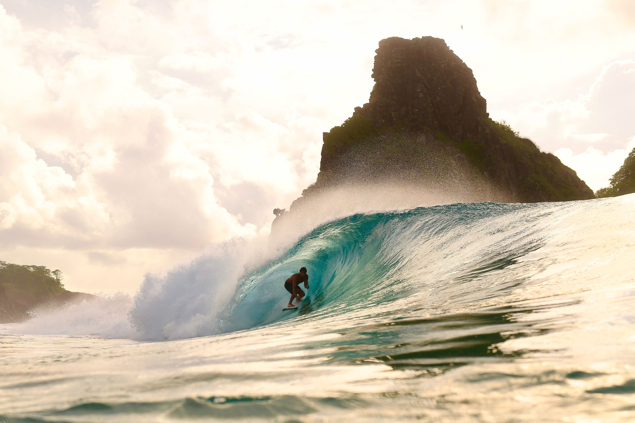 08004_Noronha2023_RAlves.JPG