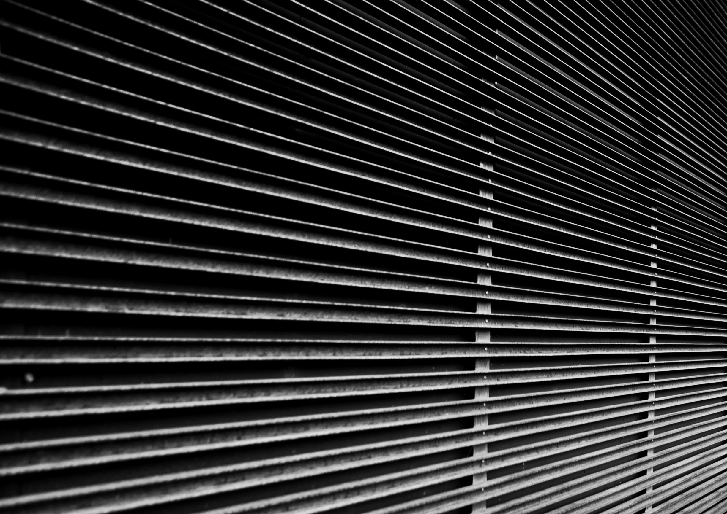 Rapperswil Steg_DSC0319-01.jpeg