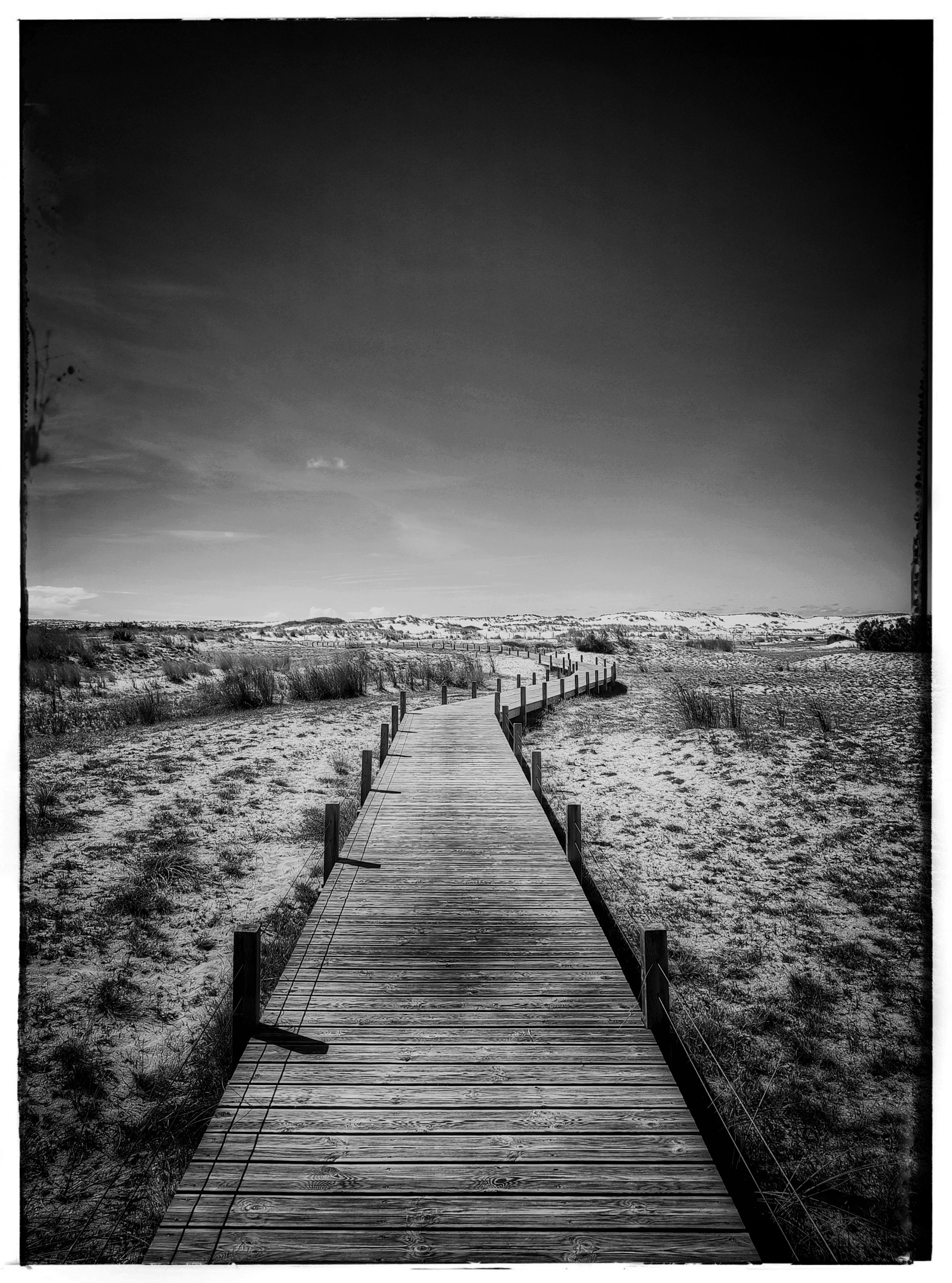 IMG_20220915_141234 (1).jpg