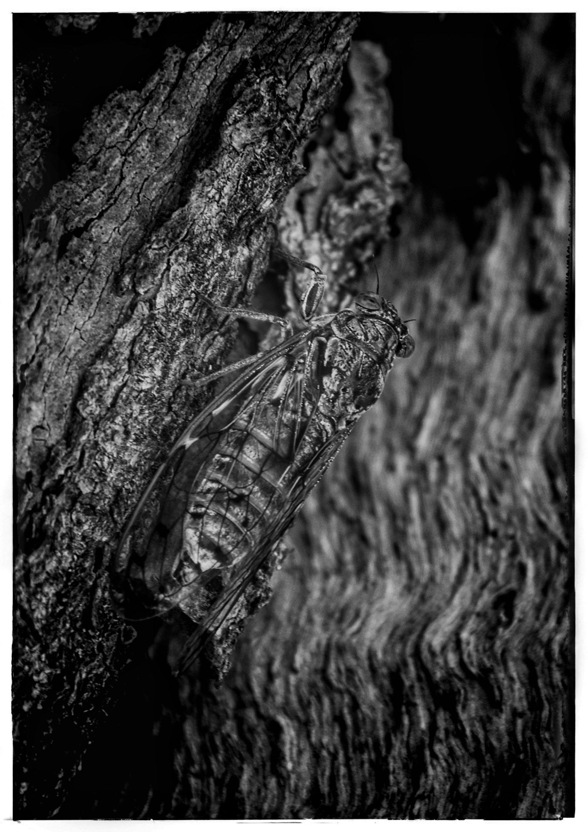 _DSC0508(1).JPG