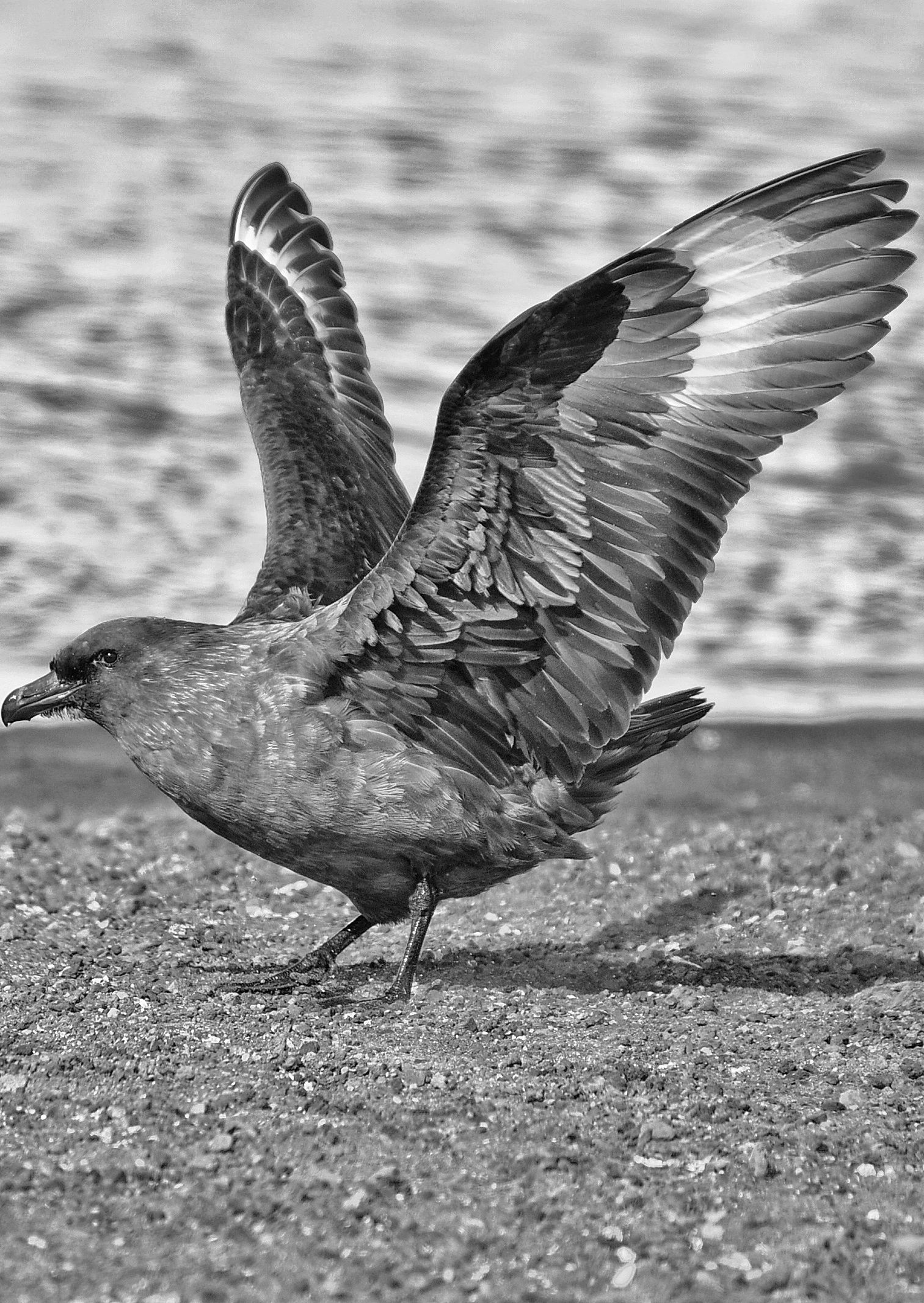_DSC0058-03.jpeg