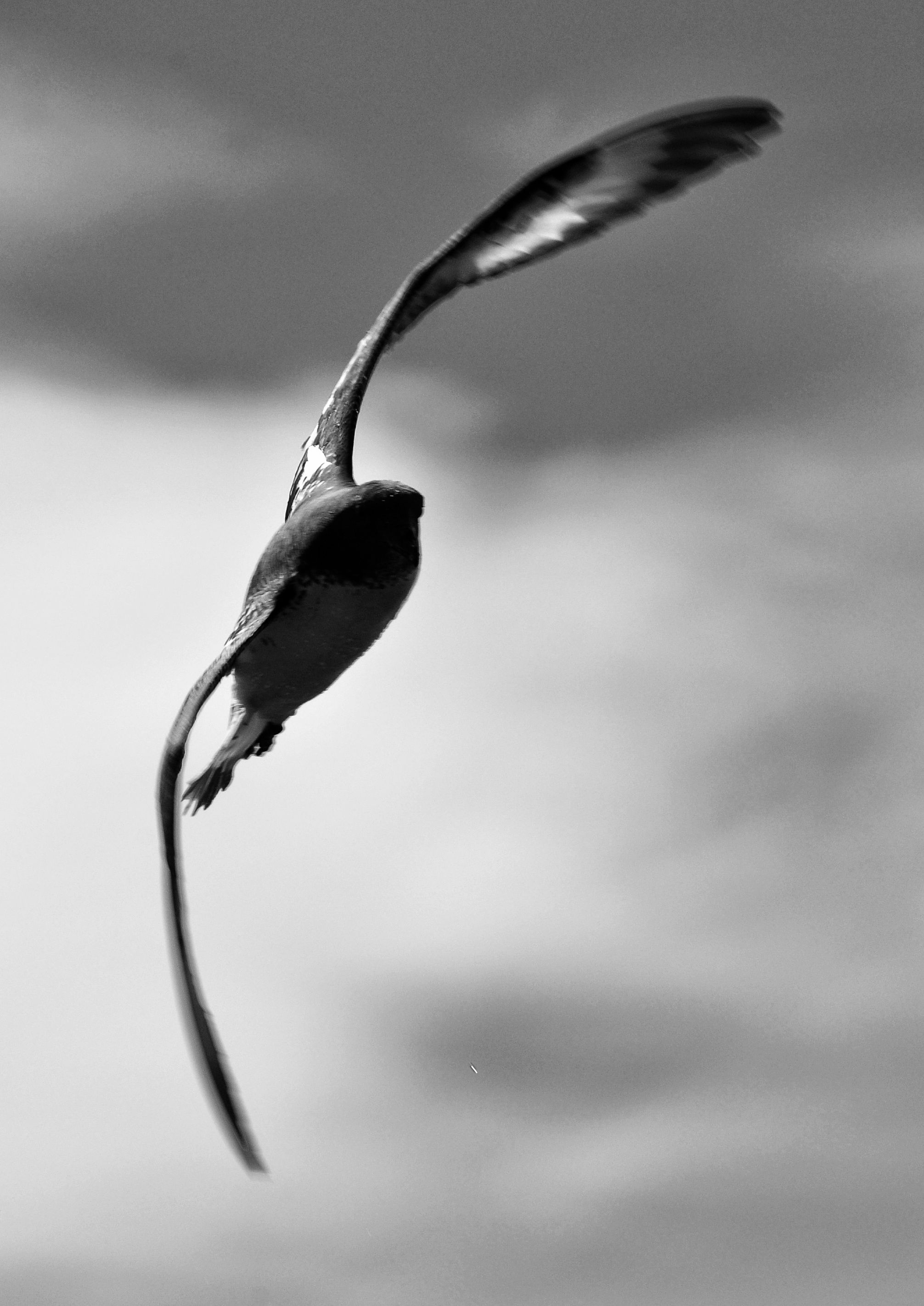 DSC_0849-01.jpeg