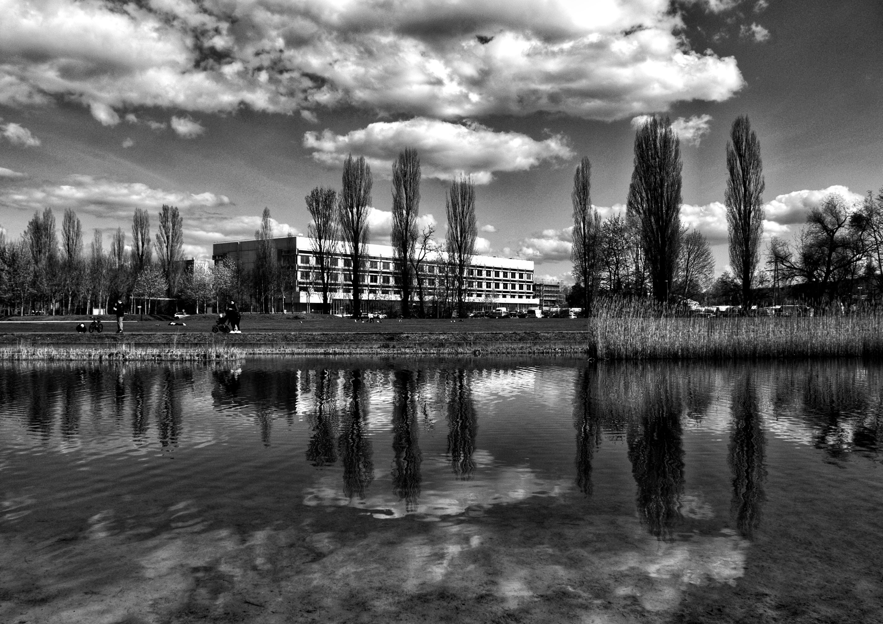 DSC_0201-01.jpeg