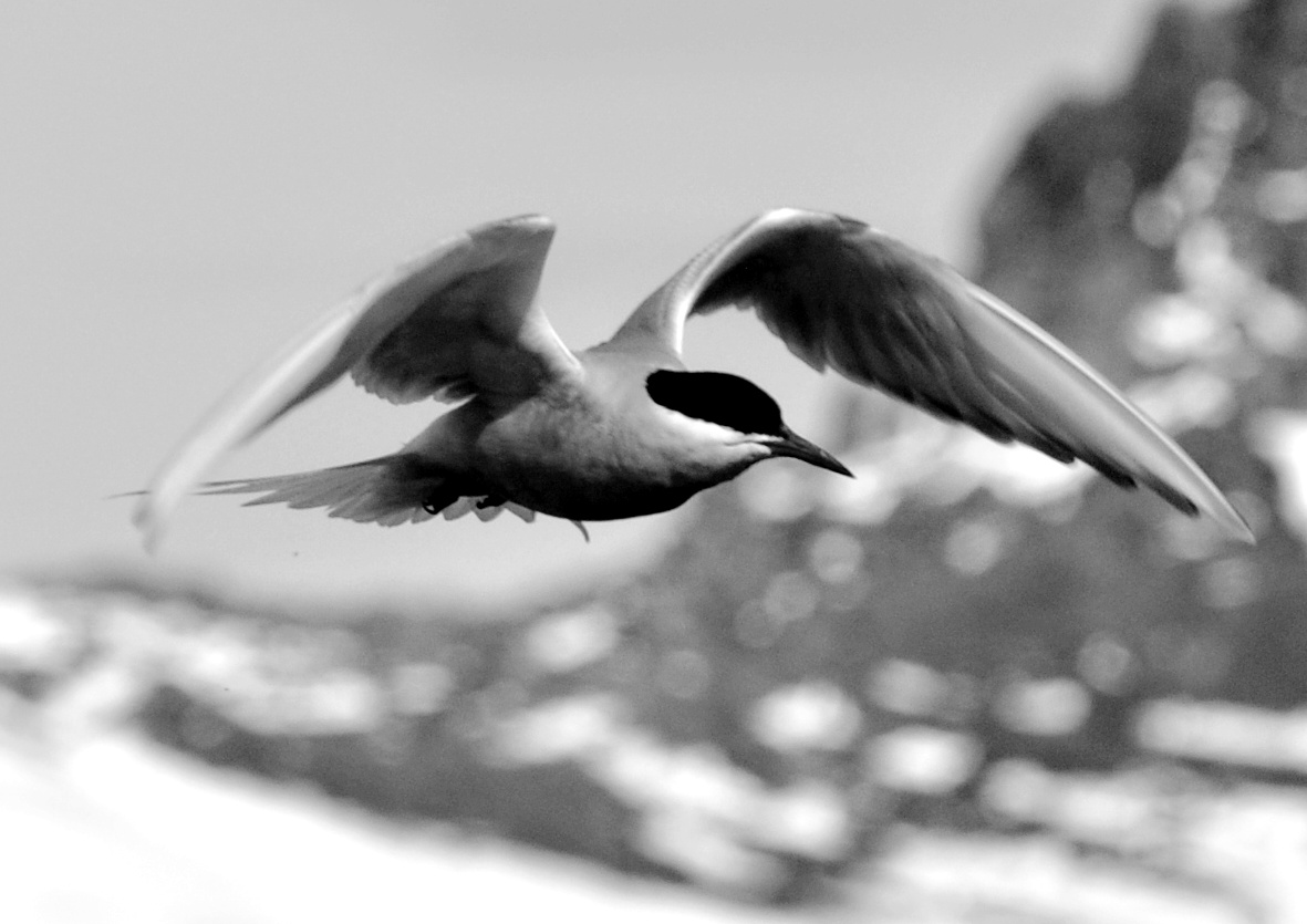 _DSC0326-01.jpeg