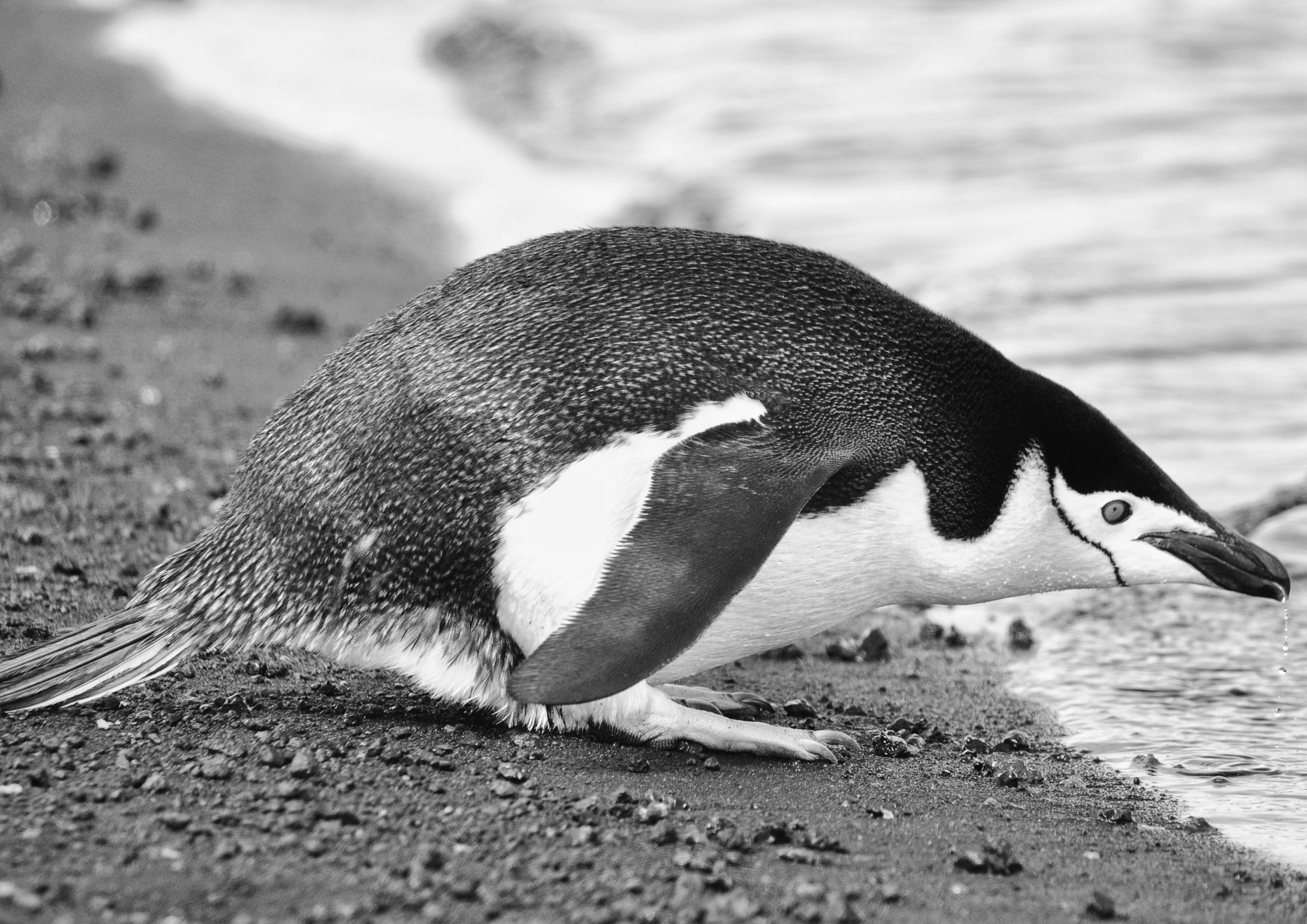 _DSC0308-02.jpeg