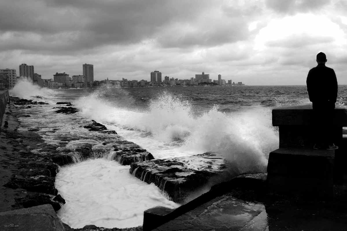 Ante la tempestad.jpg