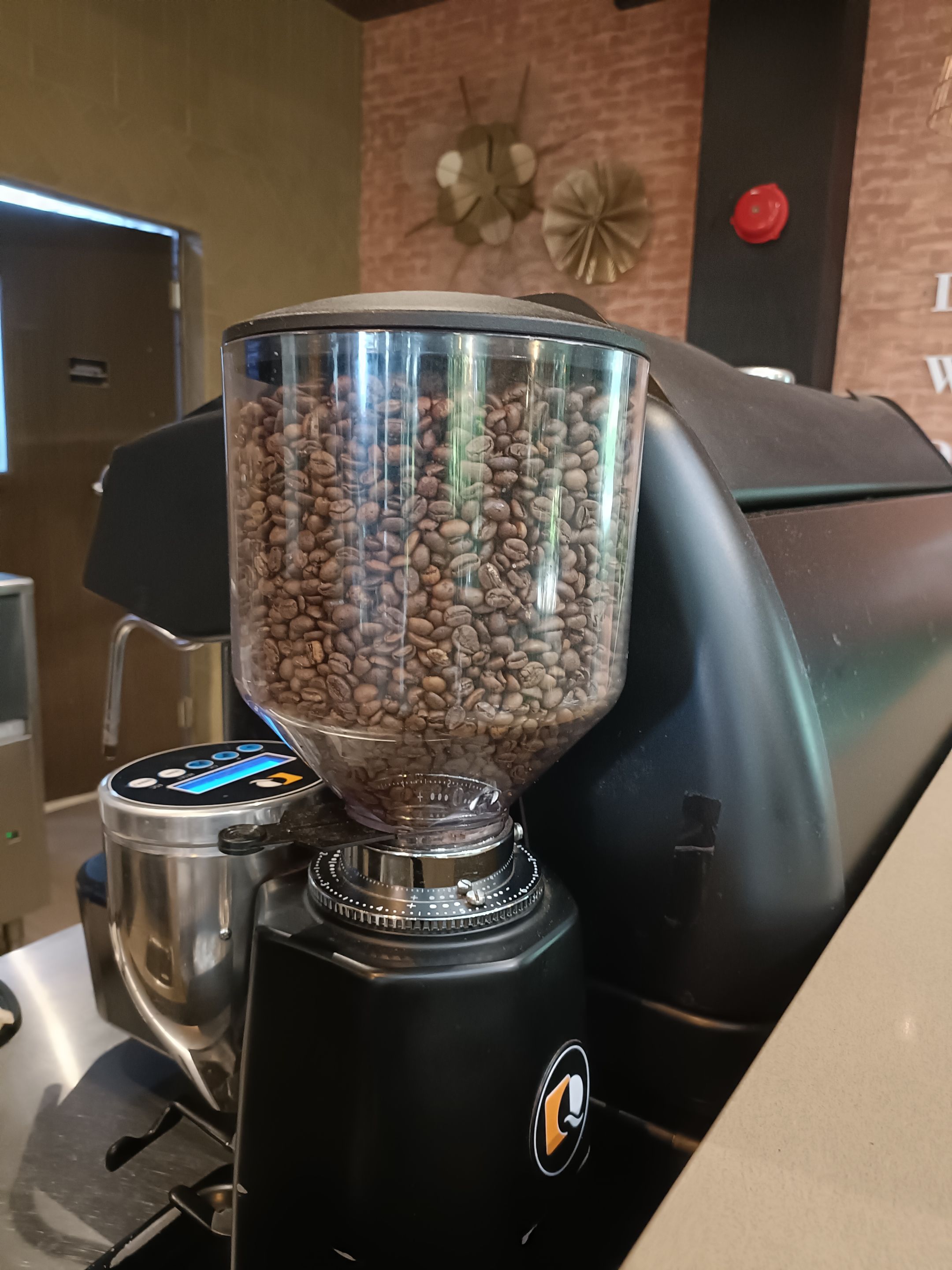 2025-10-31 11.58.22.jpg