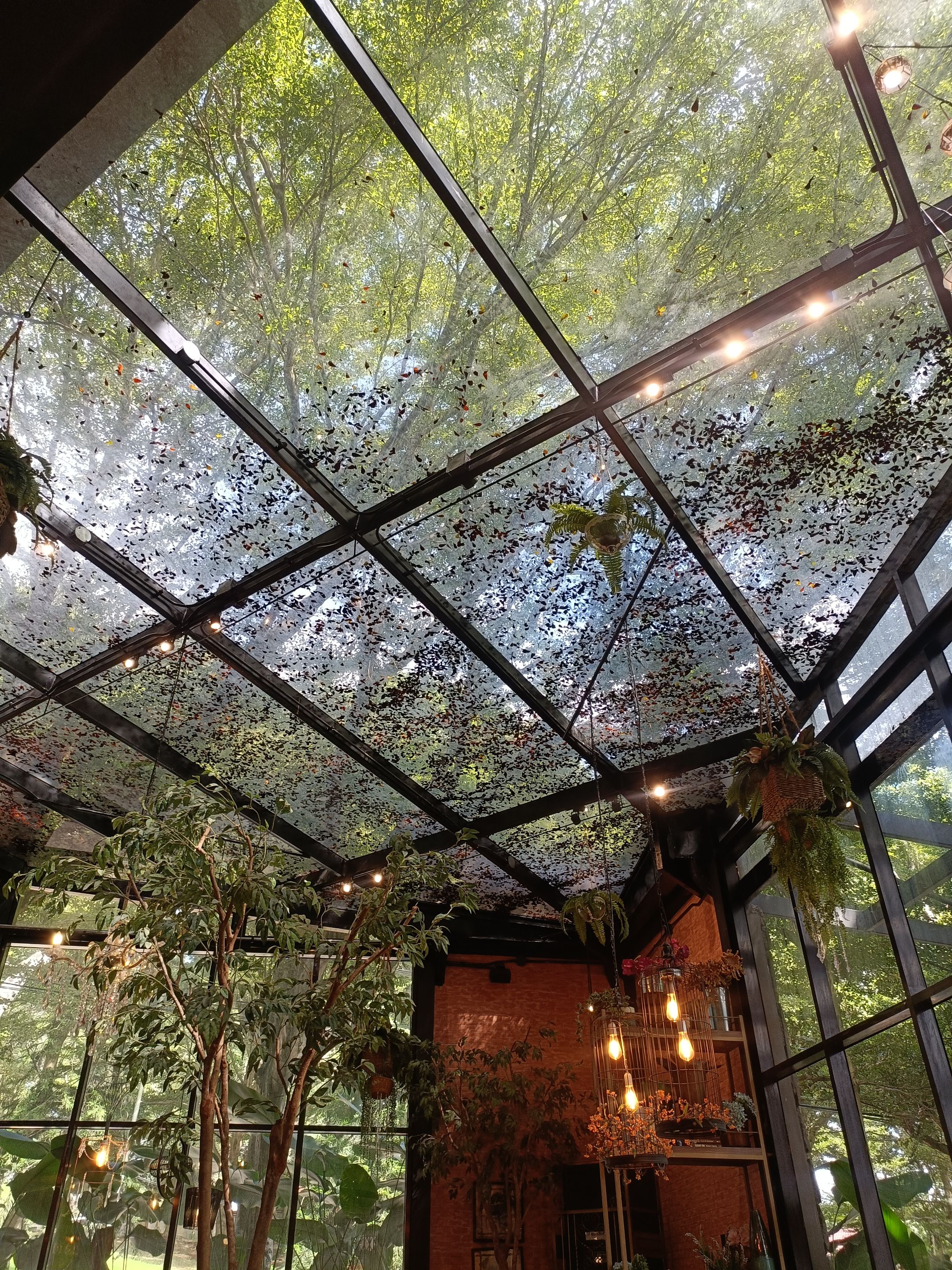 2025-10-31 13.32.30.jpg