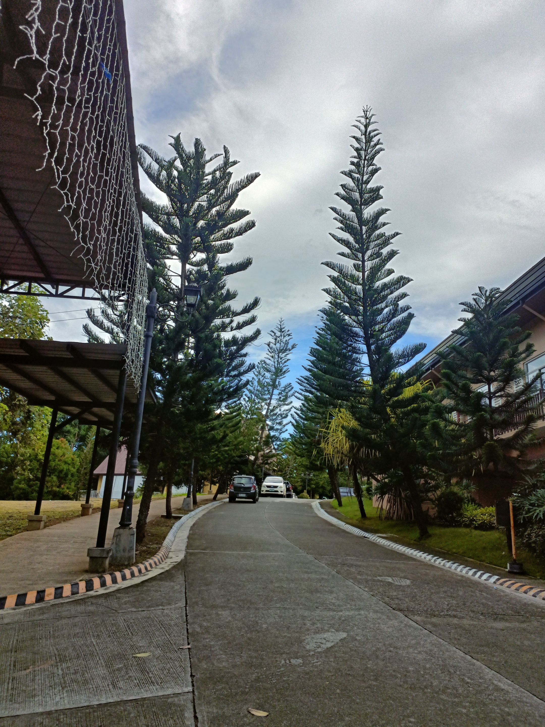 2025-10-31 15.58.31.jpg