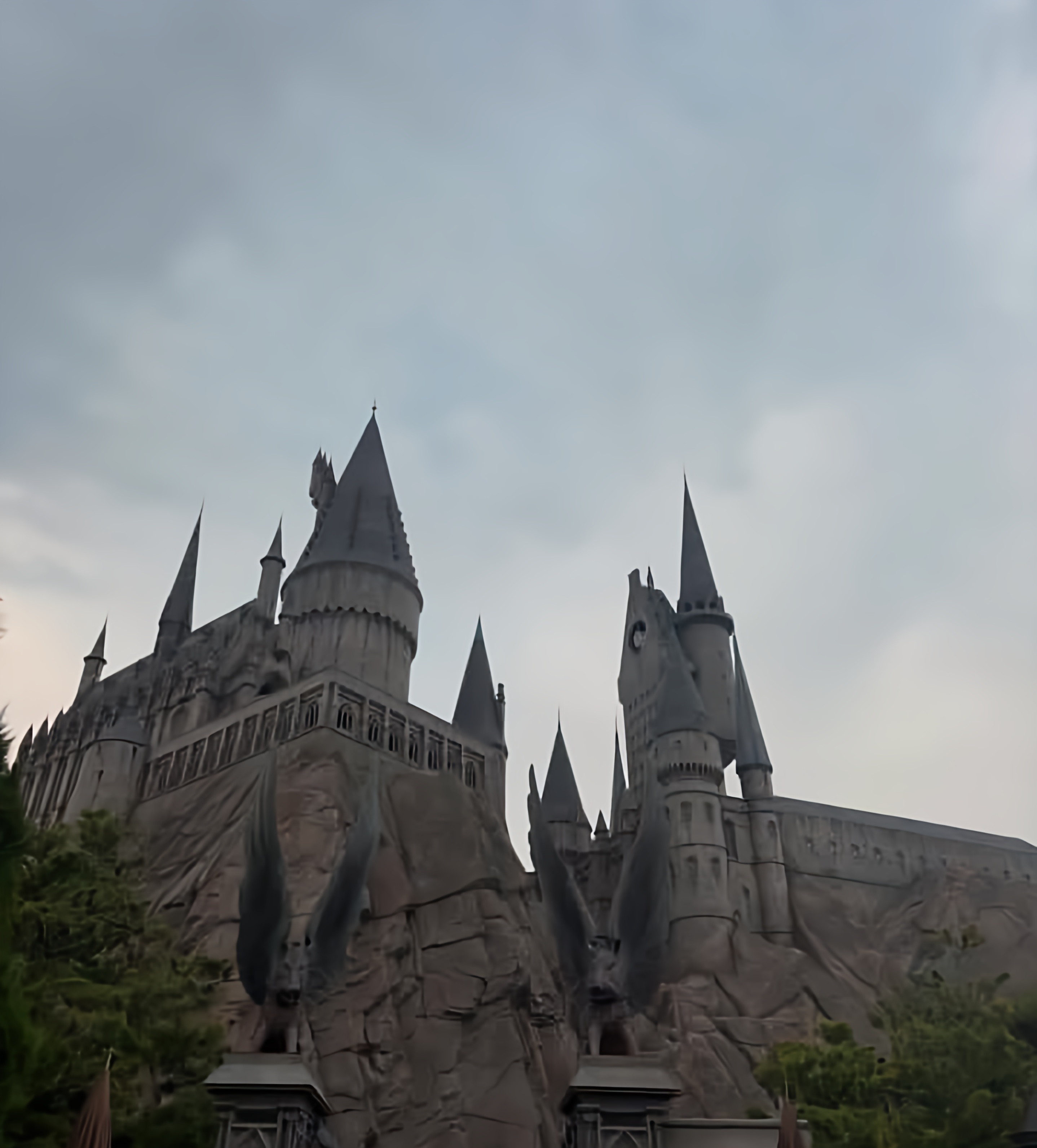 IMG_20251004_123333_071.png