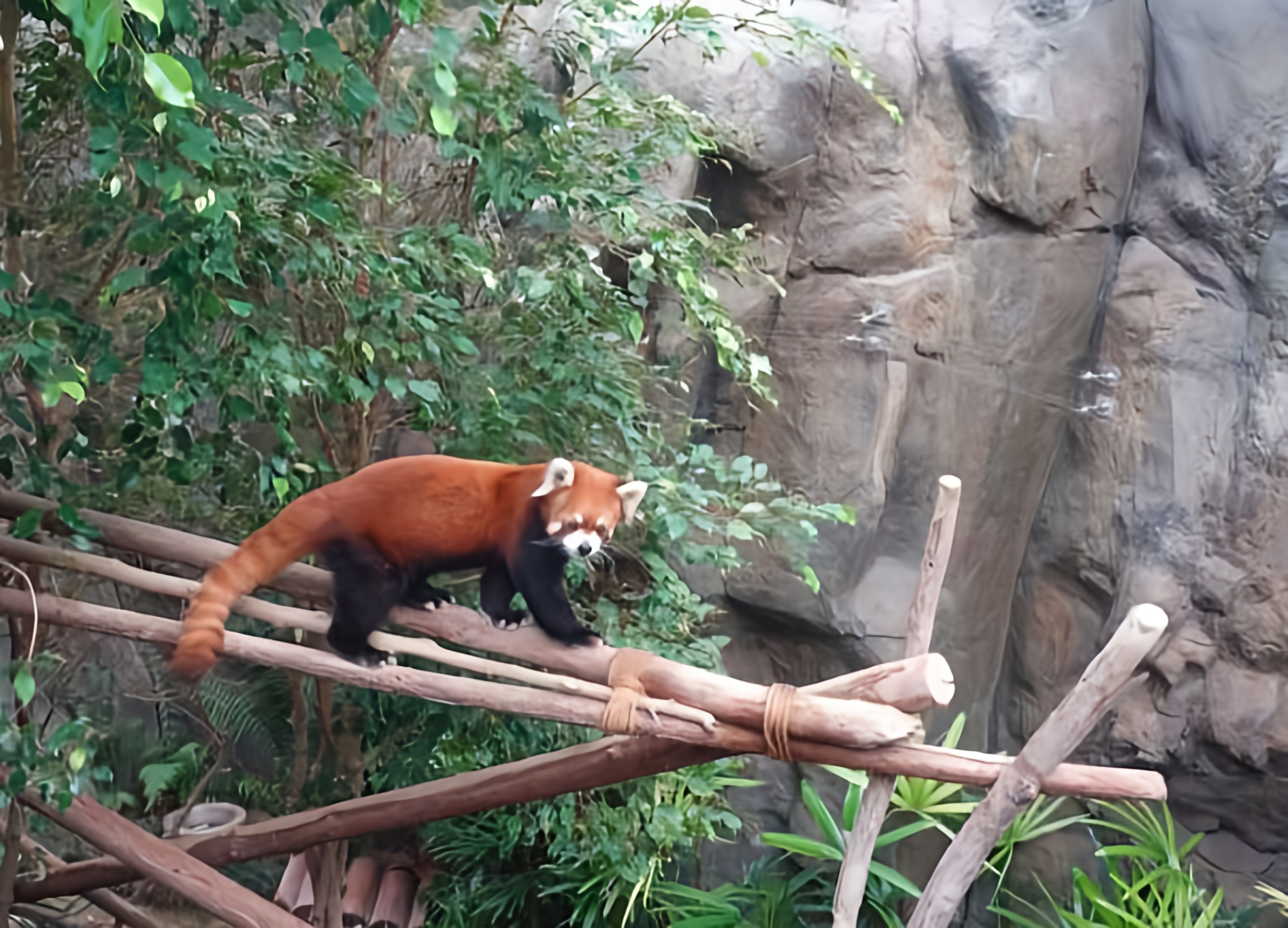 IMG_20250928_194848_412.png