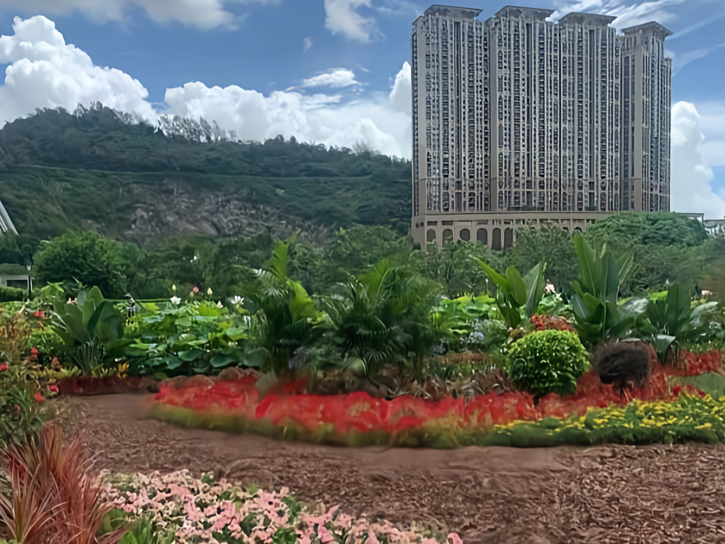 IMG_20251002_104002_621.png