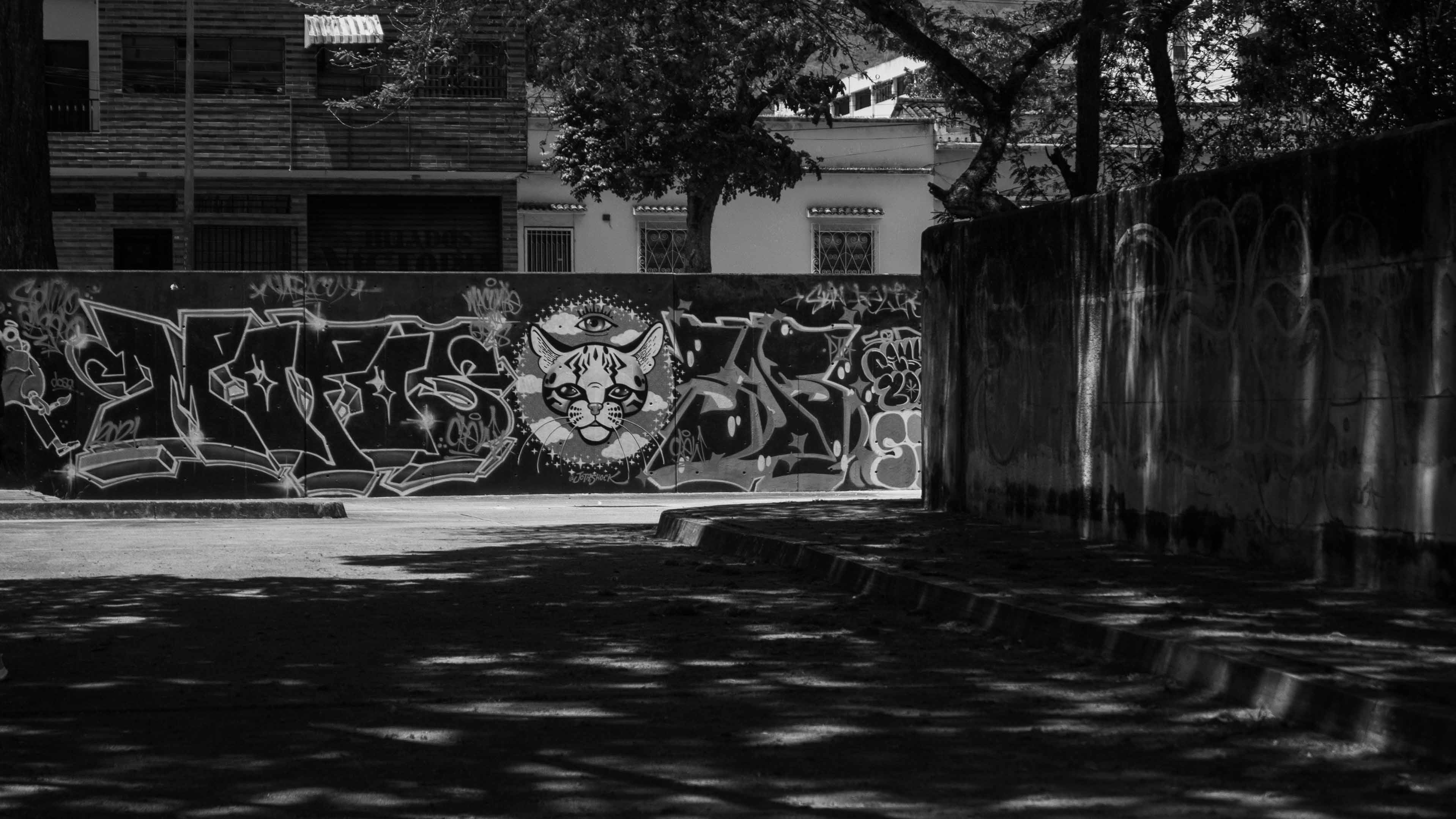 Murales-1.jpg