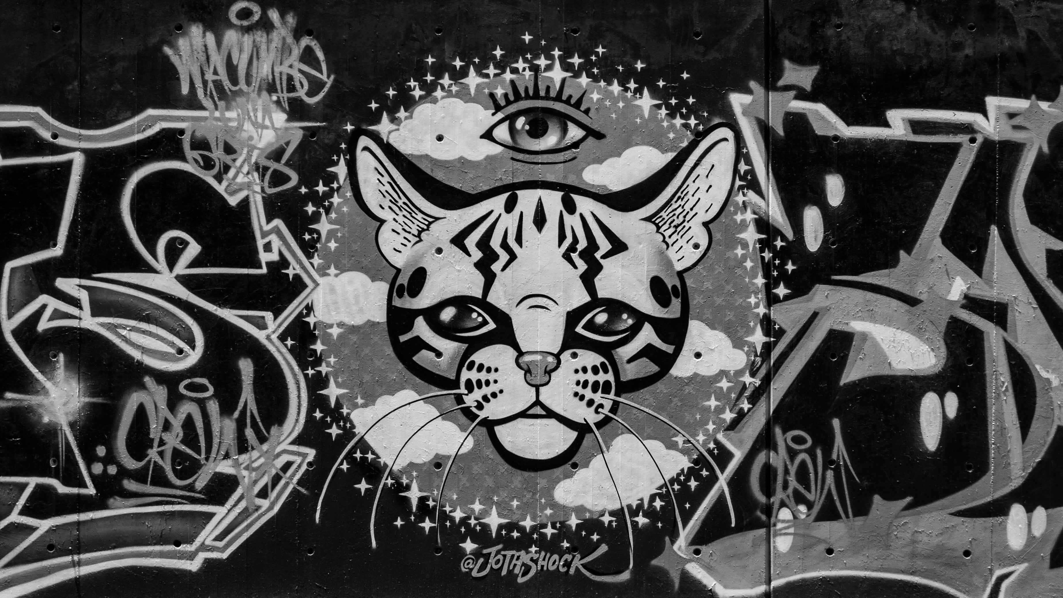 Murales-3.jpg