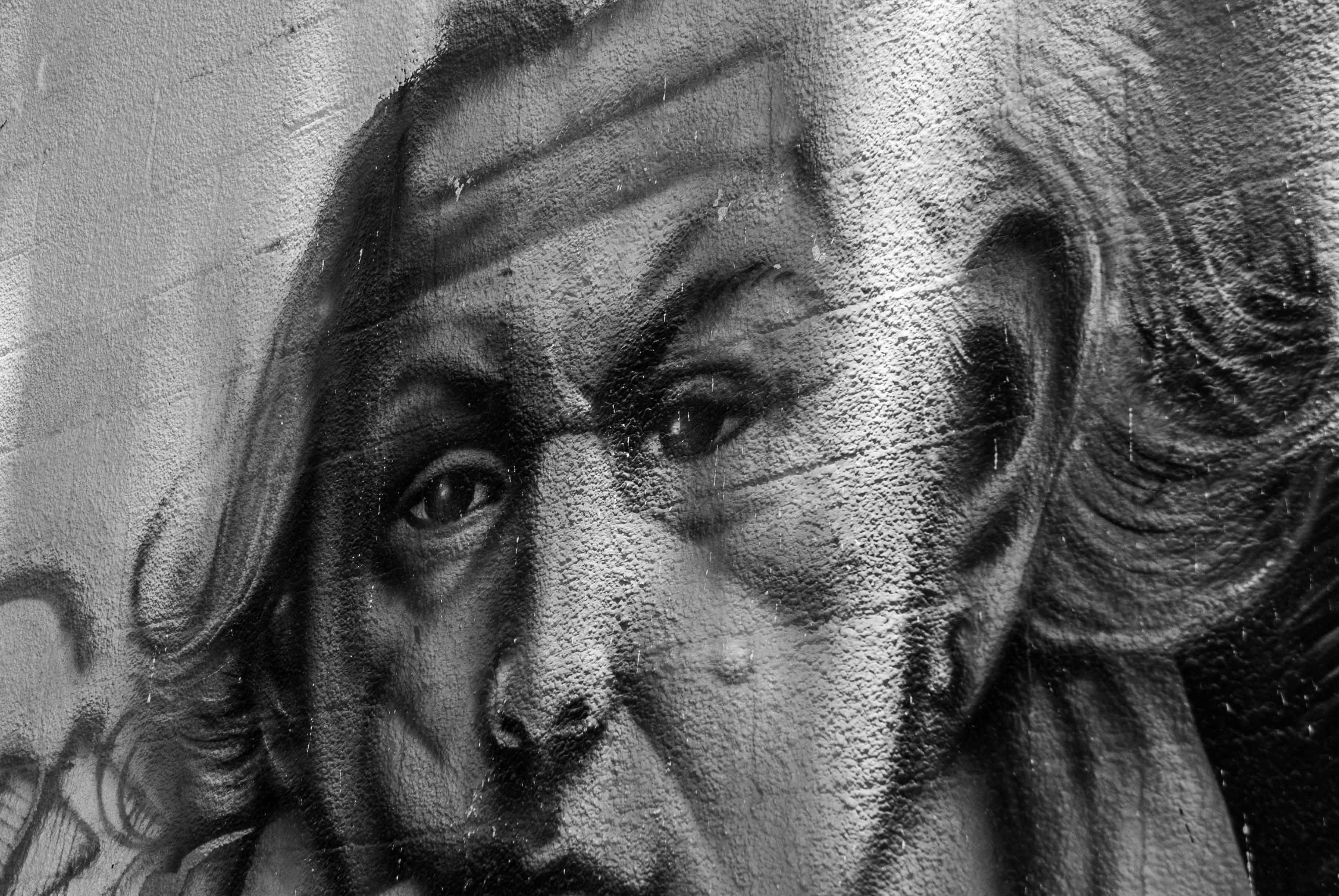 Murales-6.jpg