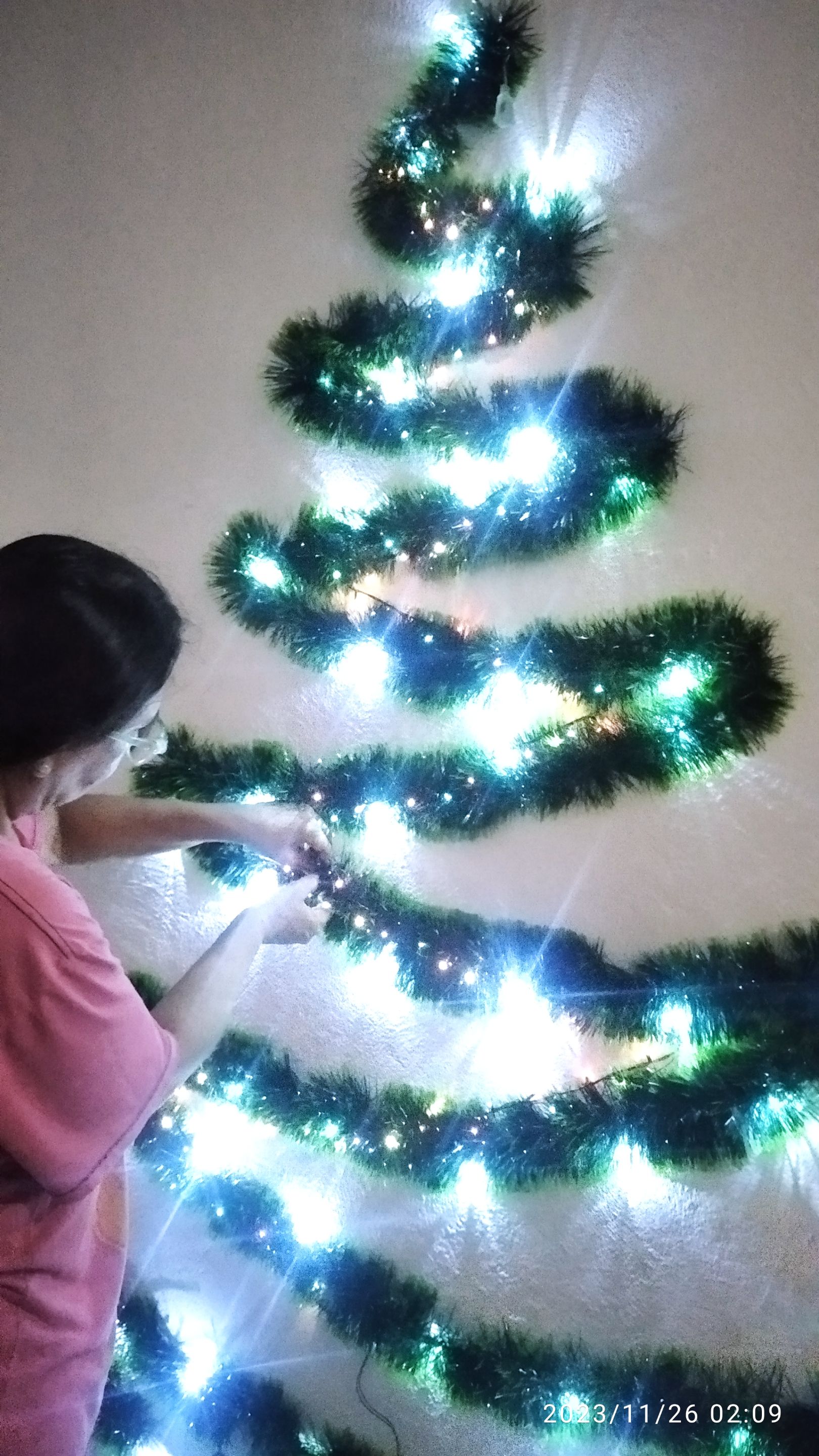 1701152552134.jpg