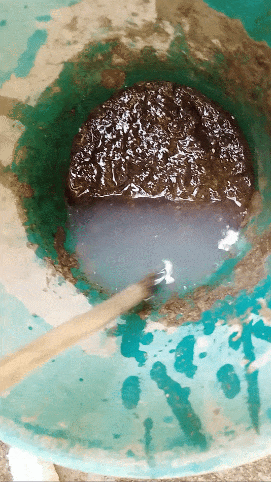 VID_20231113_140443 (1).gif