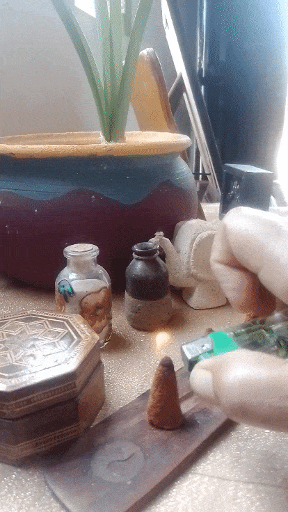 VID_20230906_150949-min.gif