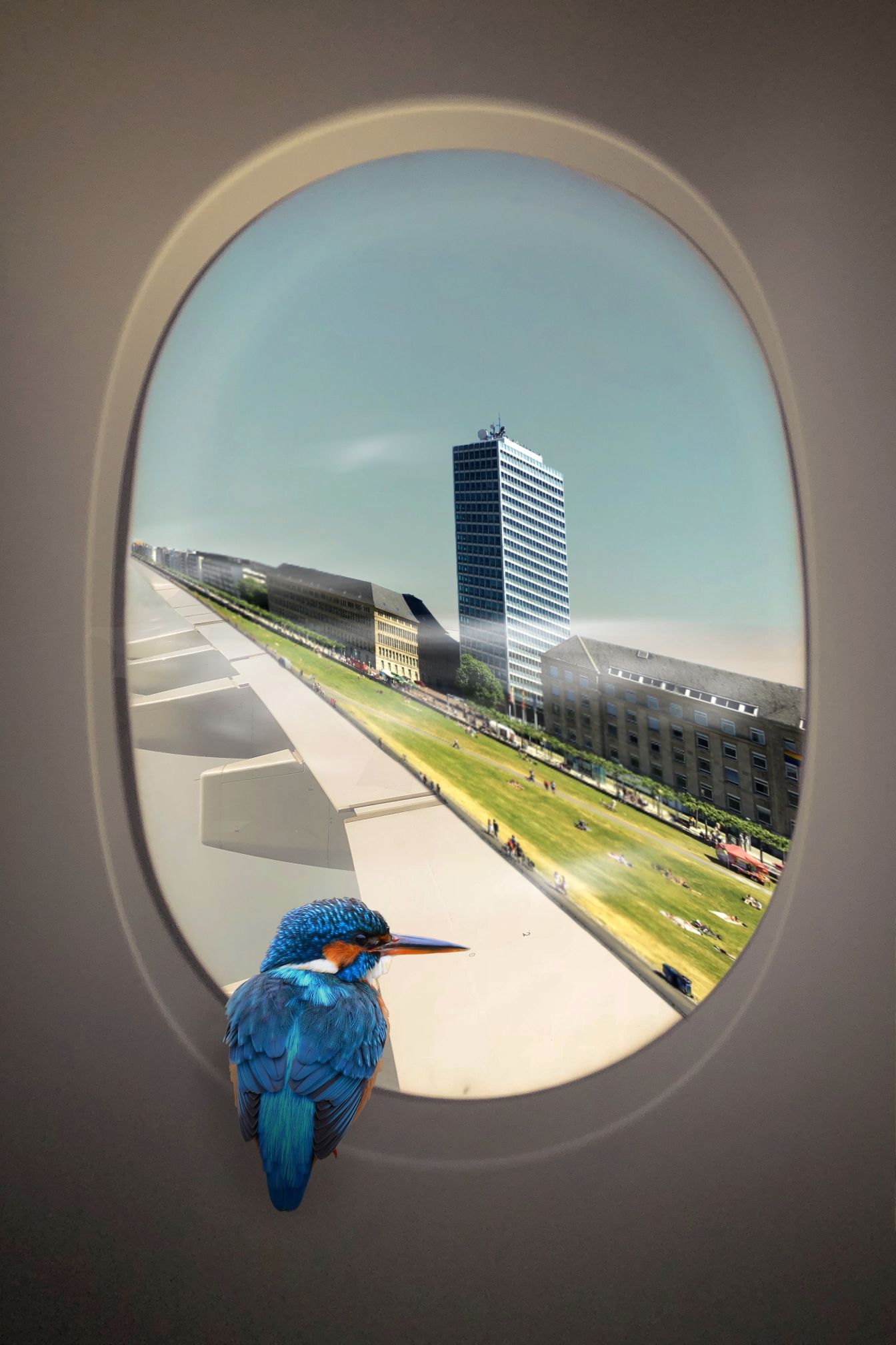 City on the wing resize.jpg