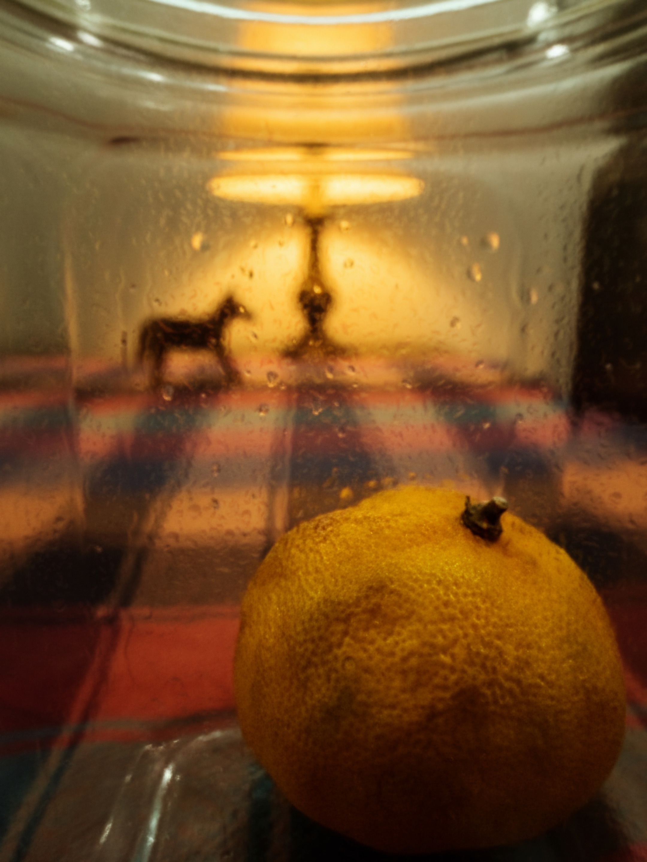 1 trapped mandarin.jpg