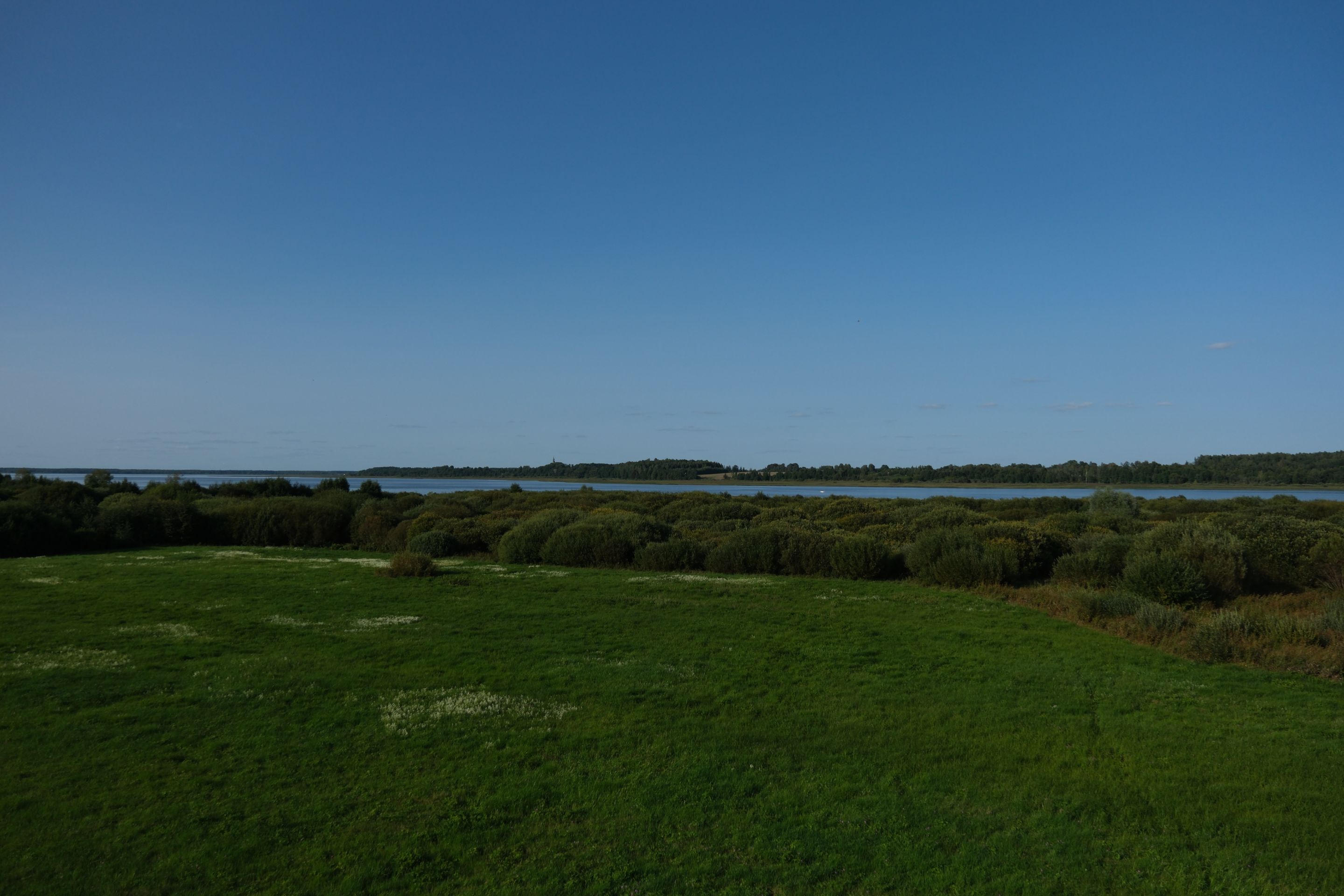 DSCF0579.png