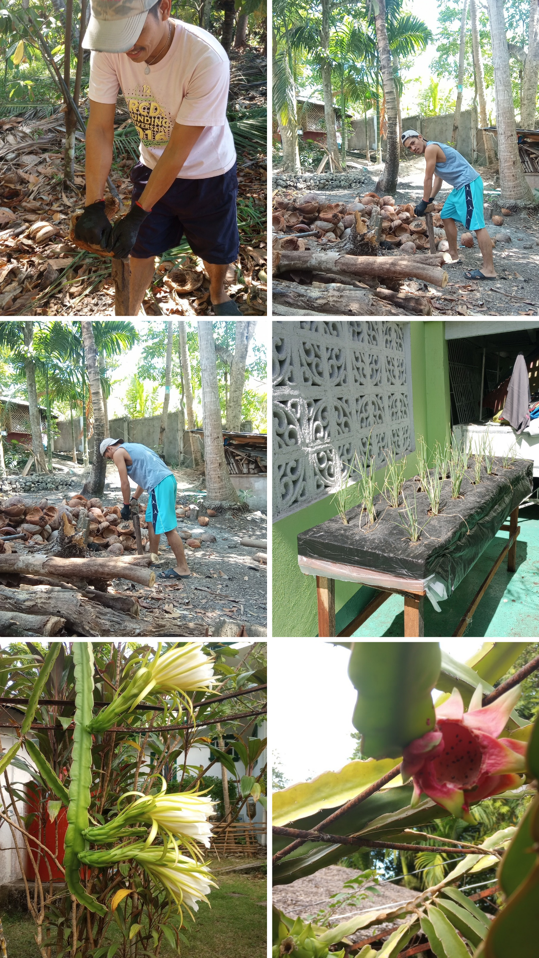 Green Blue Aesthetic Travel Photo Collage Instagram Story_20240523_103418_0000.png