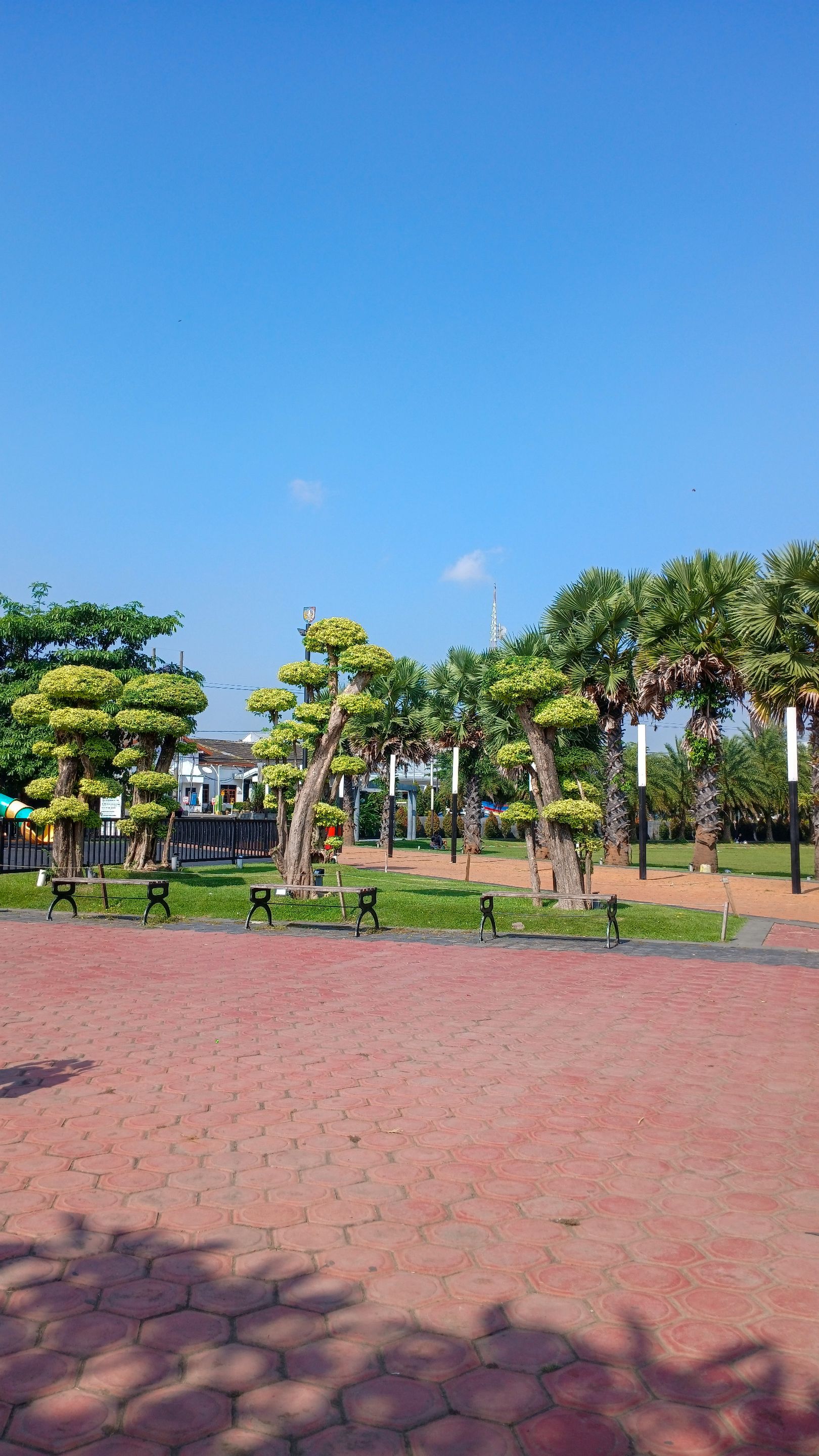 20250627_091346[1].jpg